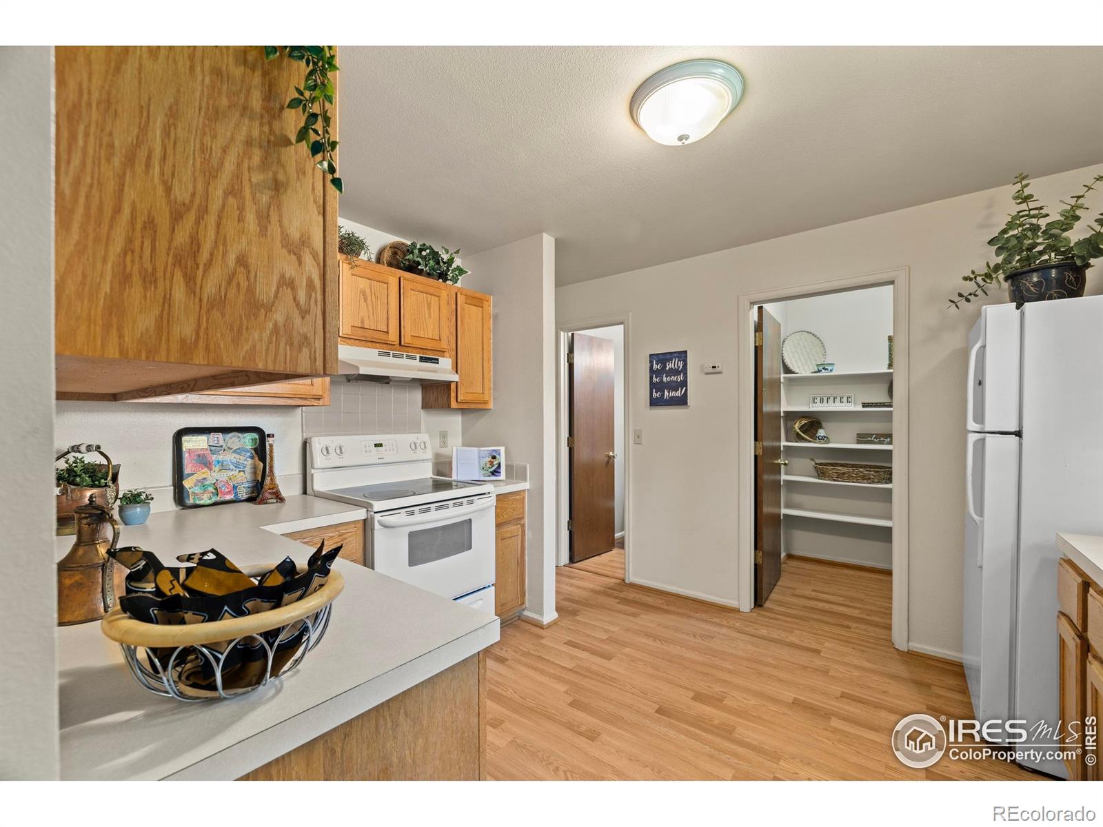 MLS Image #8 for 906  shire court,fort collins, Colorado