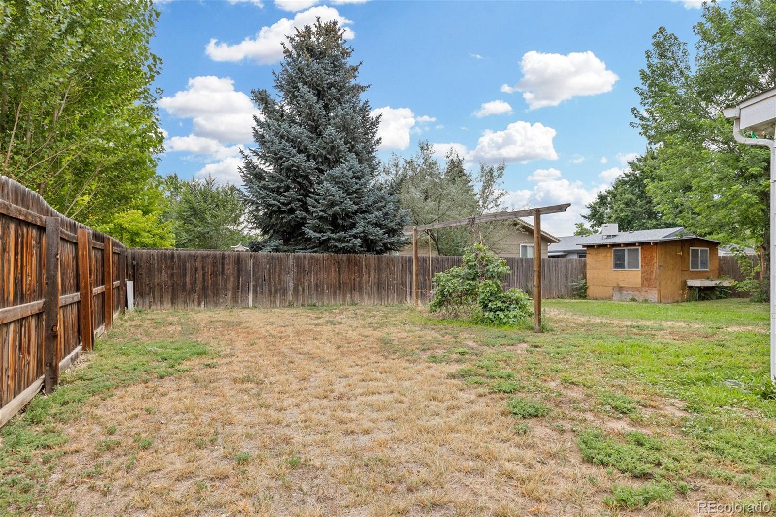 MLS Image #43 for 1116  cottonwood drive,windsor, Colorado