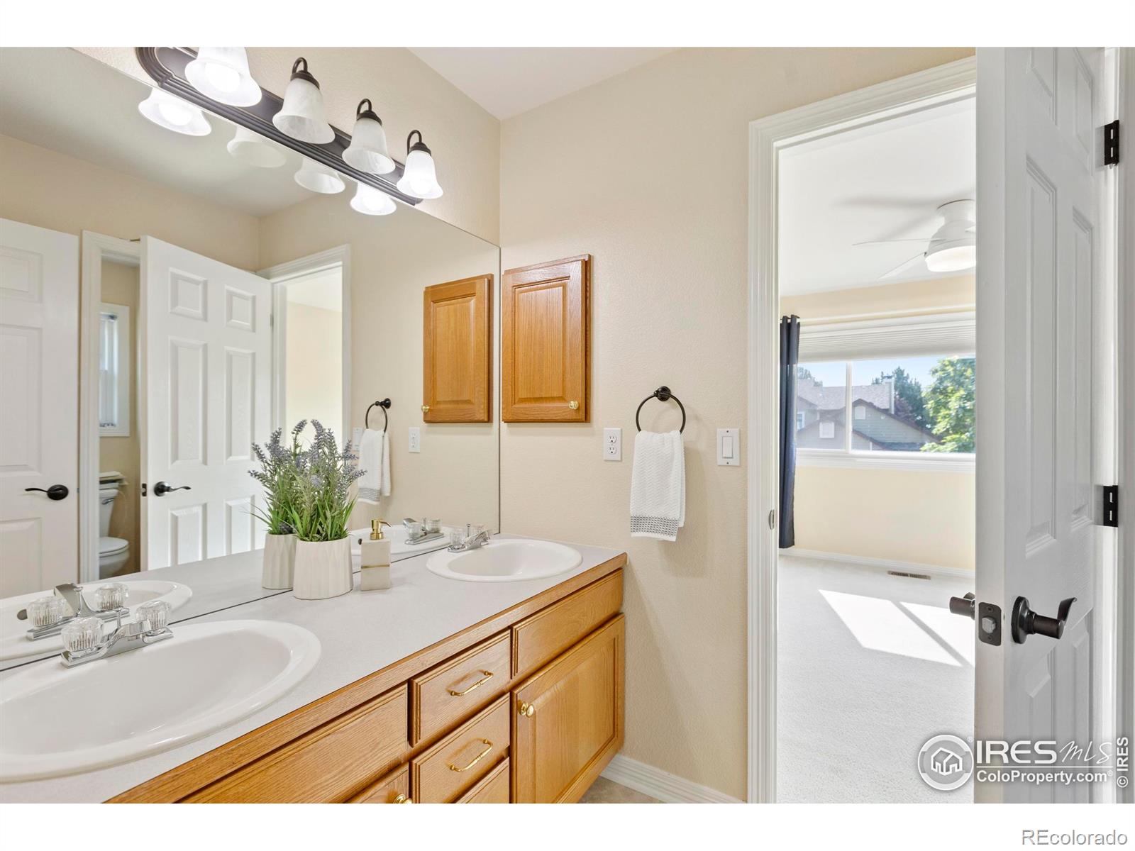 MLS Image #26 for 5603  weeping way,fort collins, Colorado