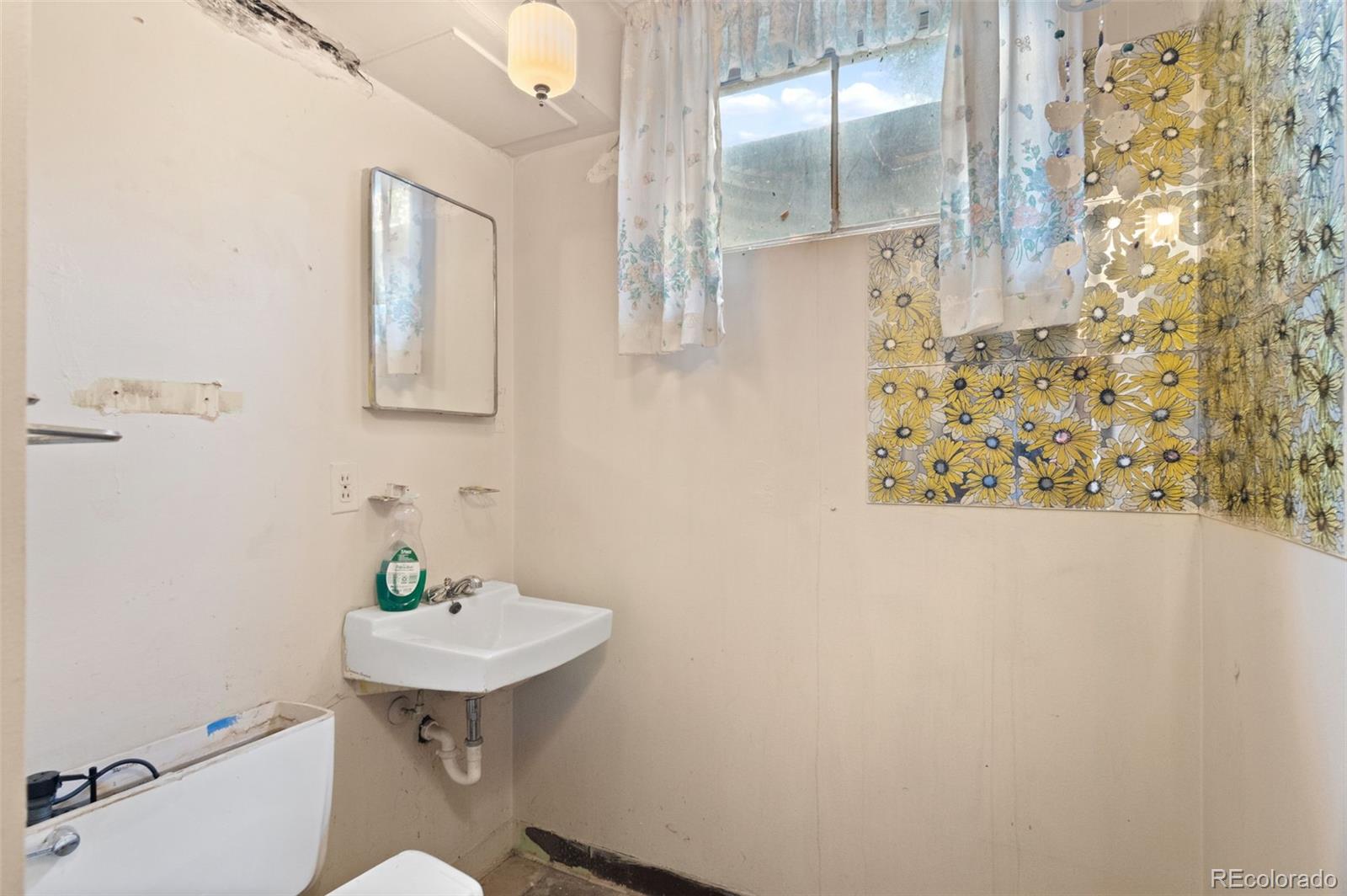 MLS Image #22 for 11409  irma drive,northglenn, Colorado