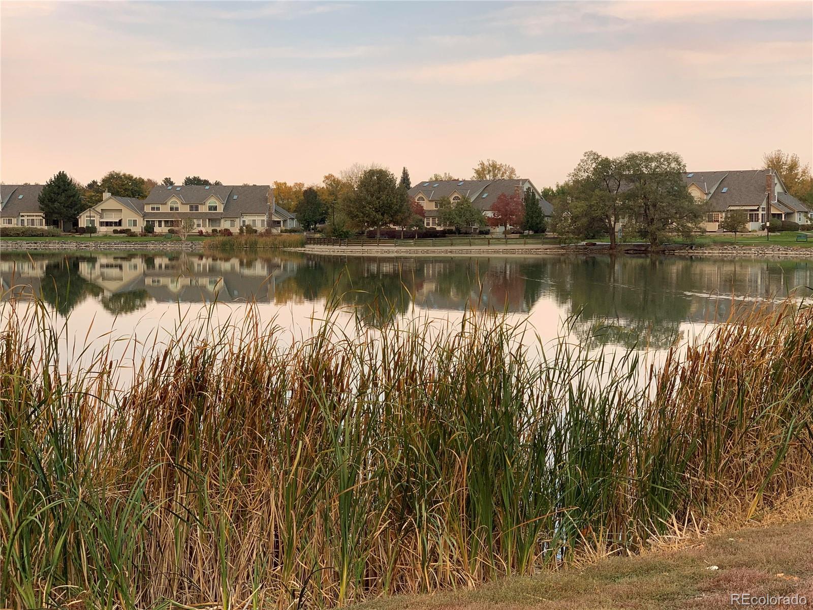 MLS Image #29 for 12965  lafayette street,thornton, Colorado