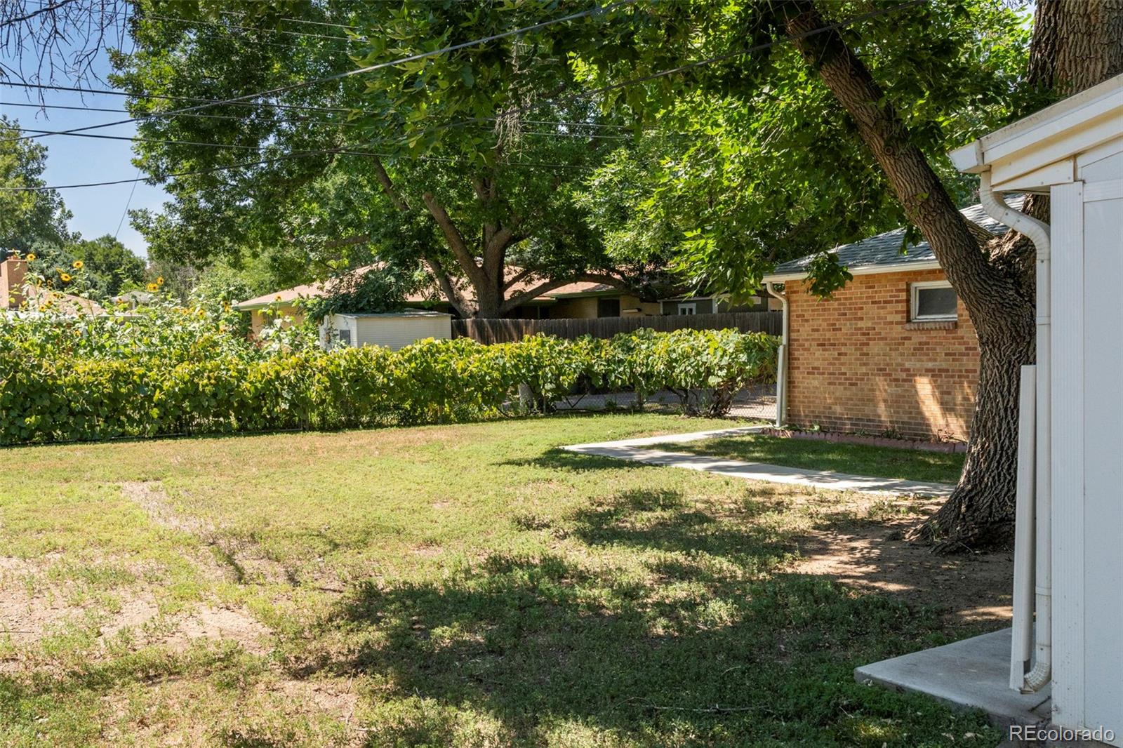 MLS Image #16 for 1209  gay street,longmont, Colorado