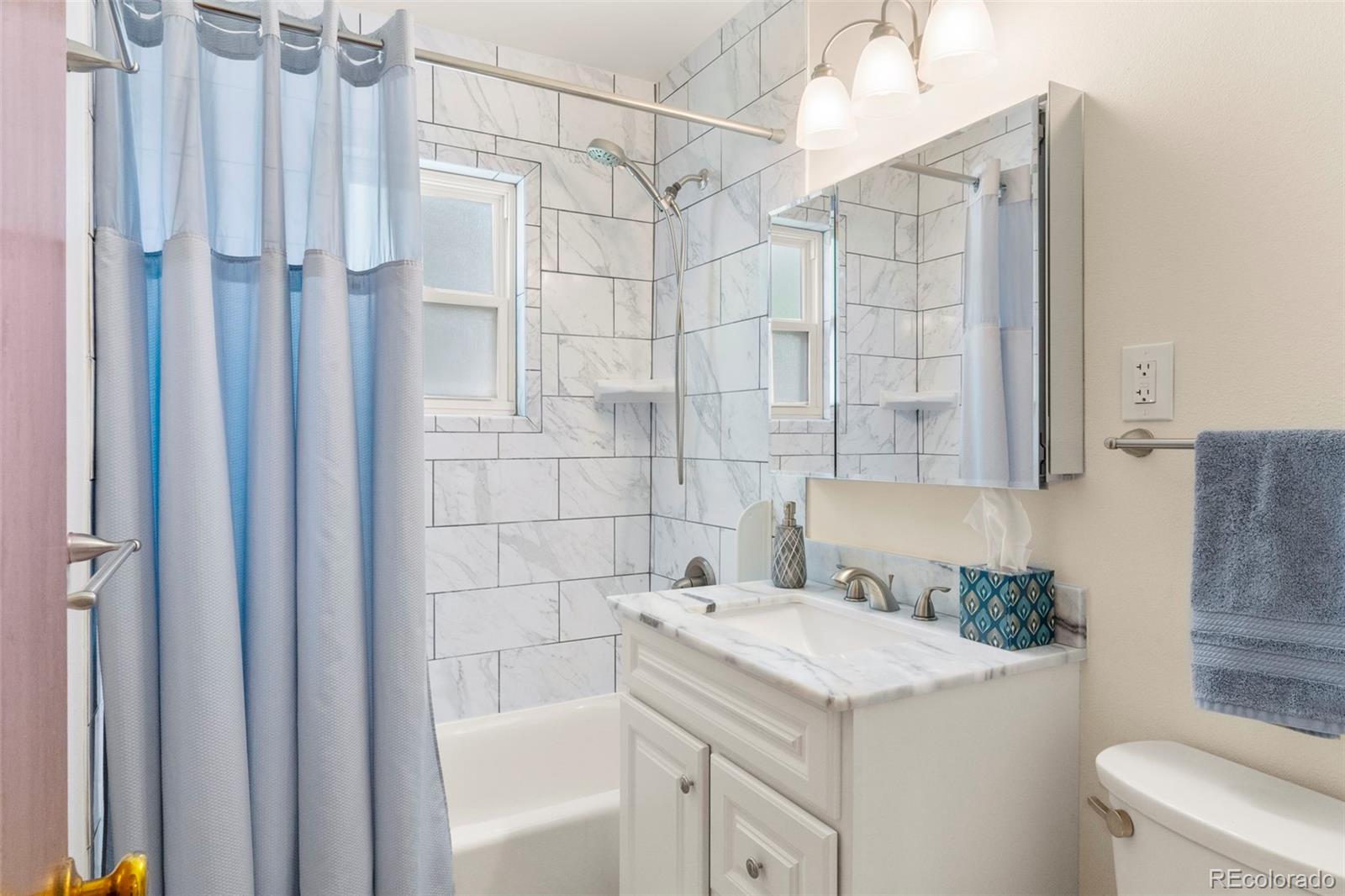 MLS Image #9 for 1209  gay street,longmont, Colorado