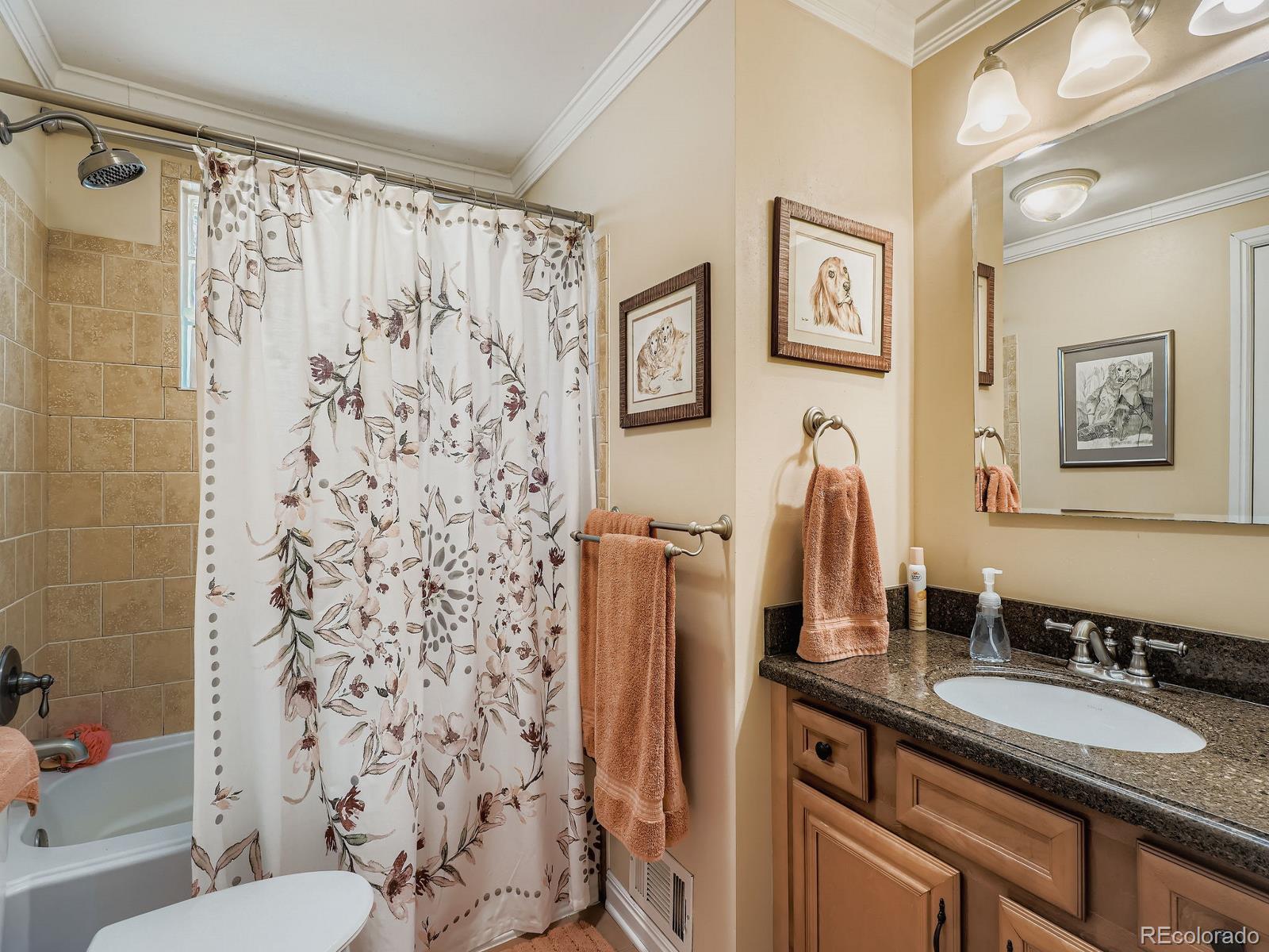 MLS Image #18 for 570  nome street,aurora, Colorado
