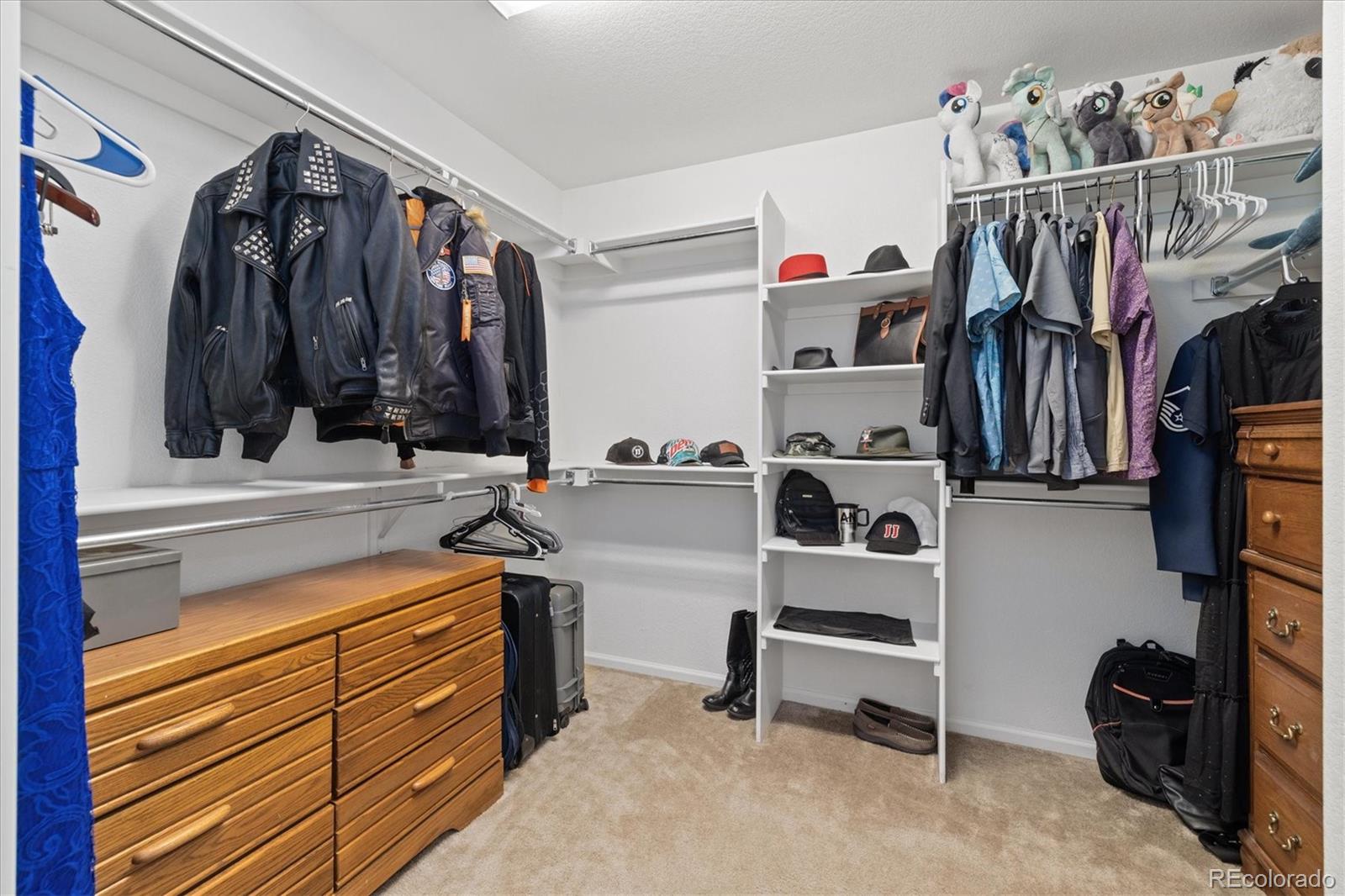 MLS Image #21 for 13330 e 106th place,commerce city, Colorado