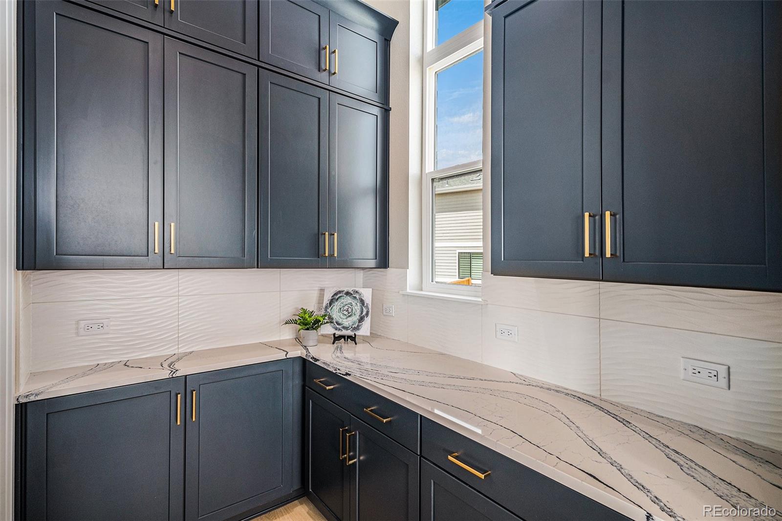 MLS Image #21 for 14341  beebalm loop ,parker, Colorado