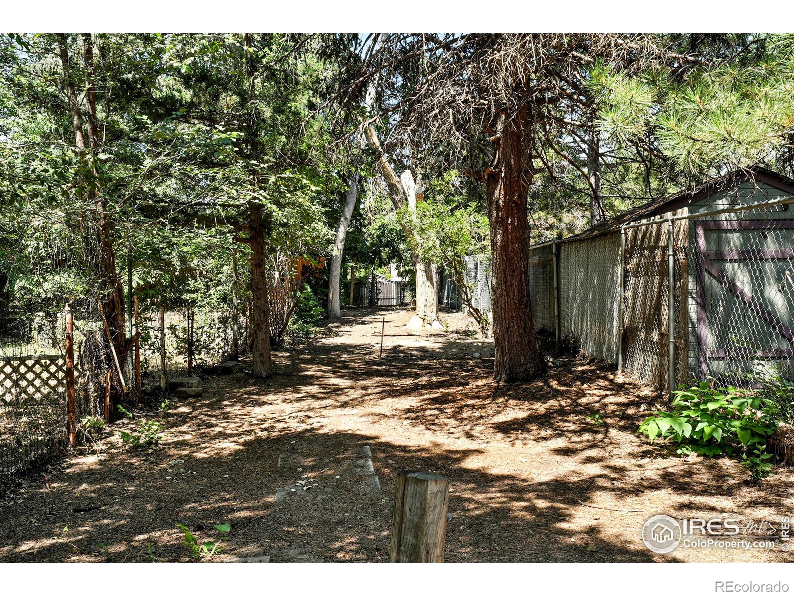 MLS Image #31 for 710  locust street,fort collins, Colorado