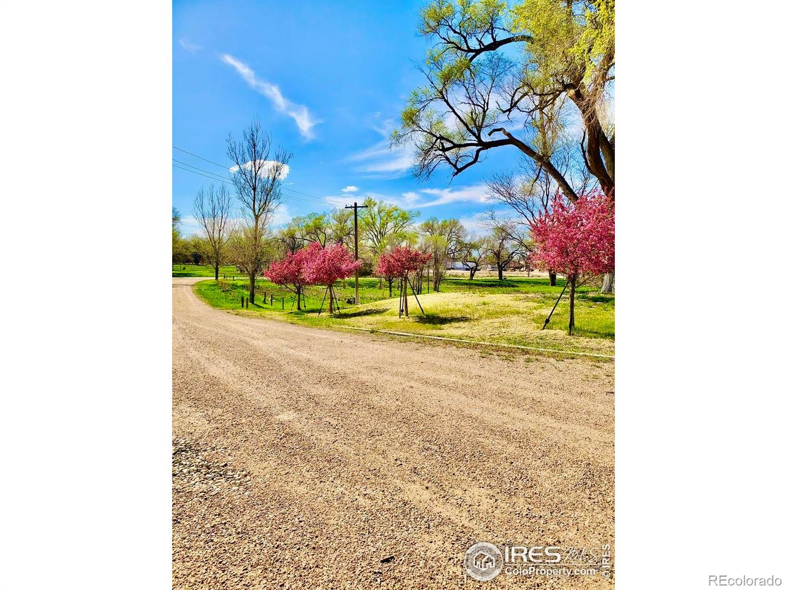 MLS Image #12 for 12288  county road 370 ,sterling, Colorado