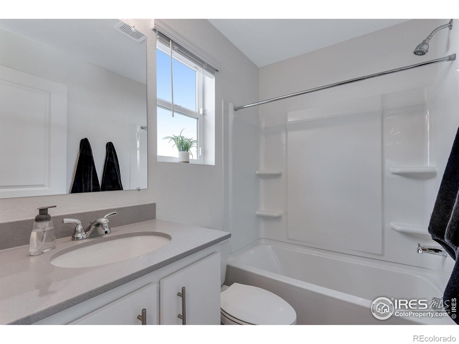 MLS Image #24 for 18266 e 51st avenue,denver, Colorado