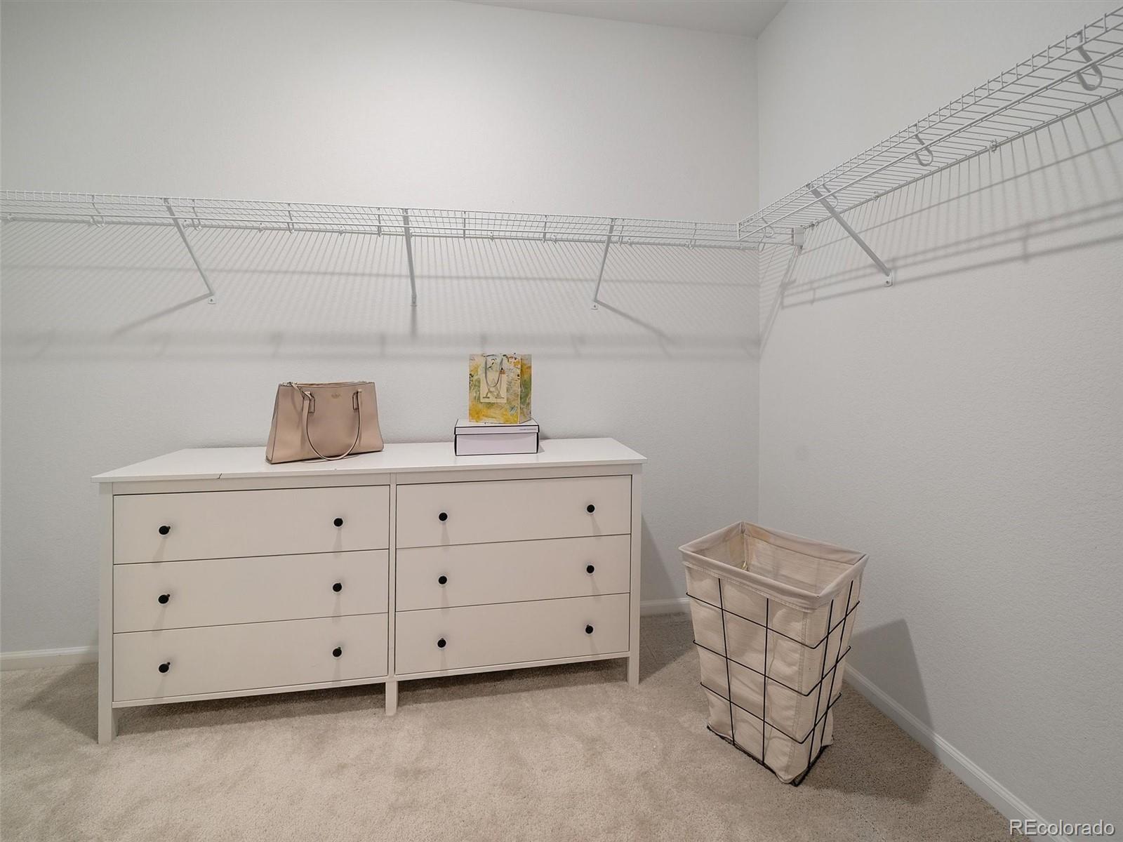 MLS Image #16 for 2618  villageview lane,castle rock, Colorado