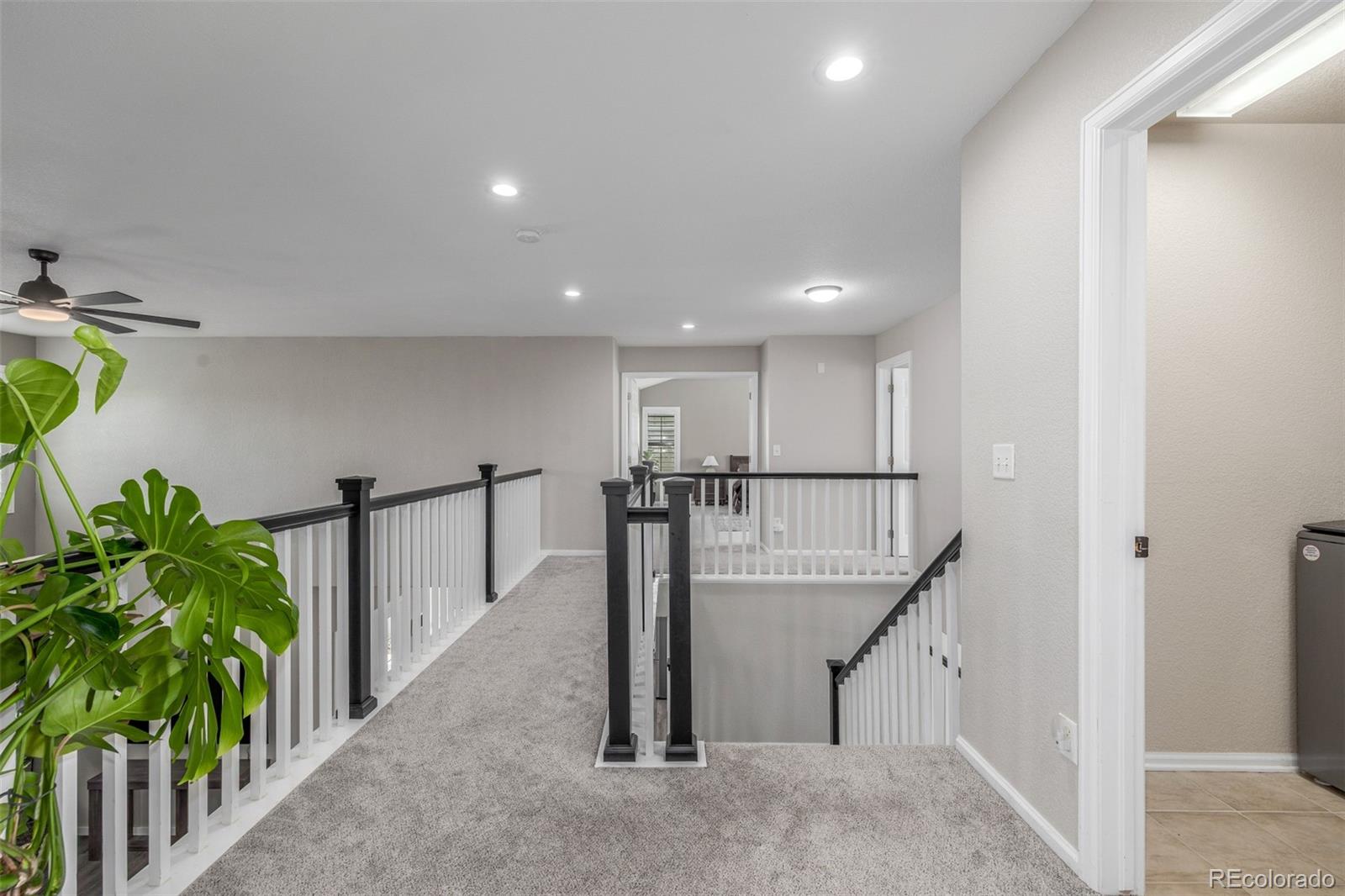 MLS Image #23 for 4590  sedona lane,dacono, Colorado
