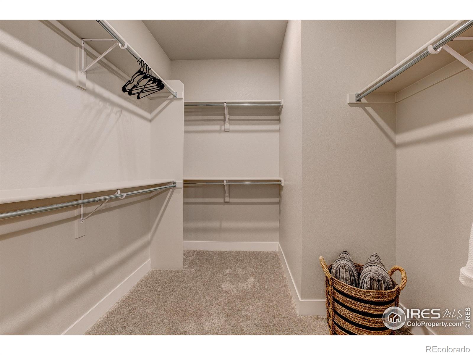 MLS Image #23 for 1014  birdwhistle lane,fort collins, Colorado