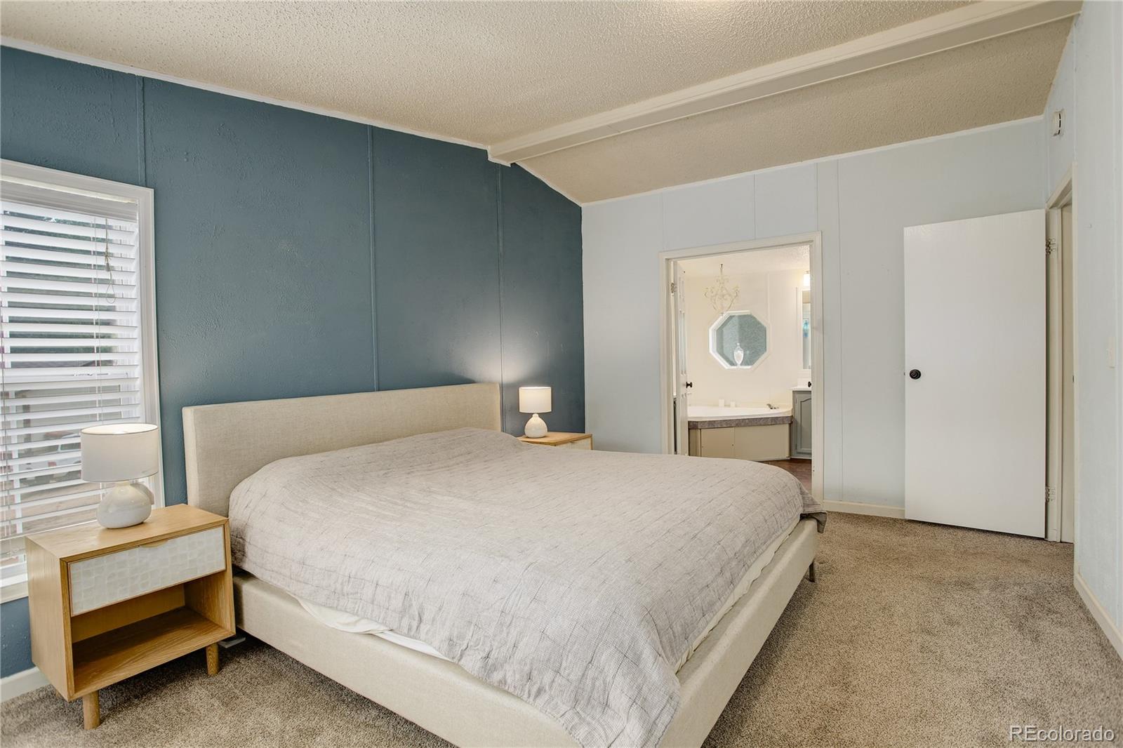 MLS Image #18 for 455  clio avenue,palmer lake, Colorado
