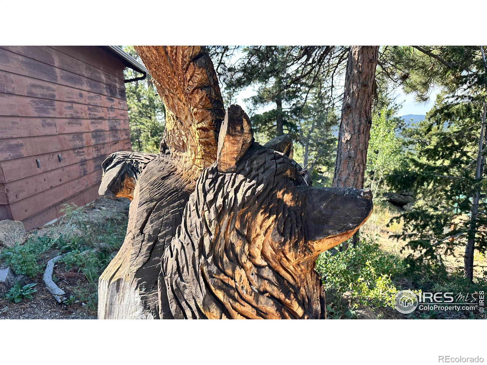 MLS Image #32 for 34  alpine drive,estes park, Colorado