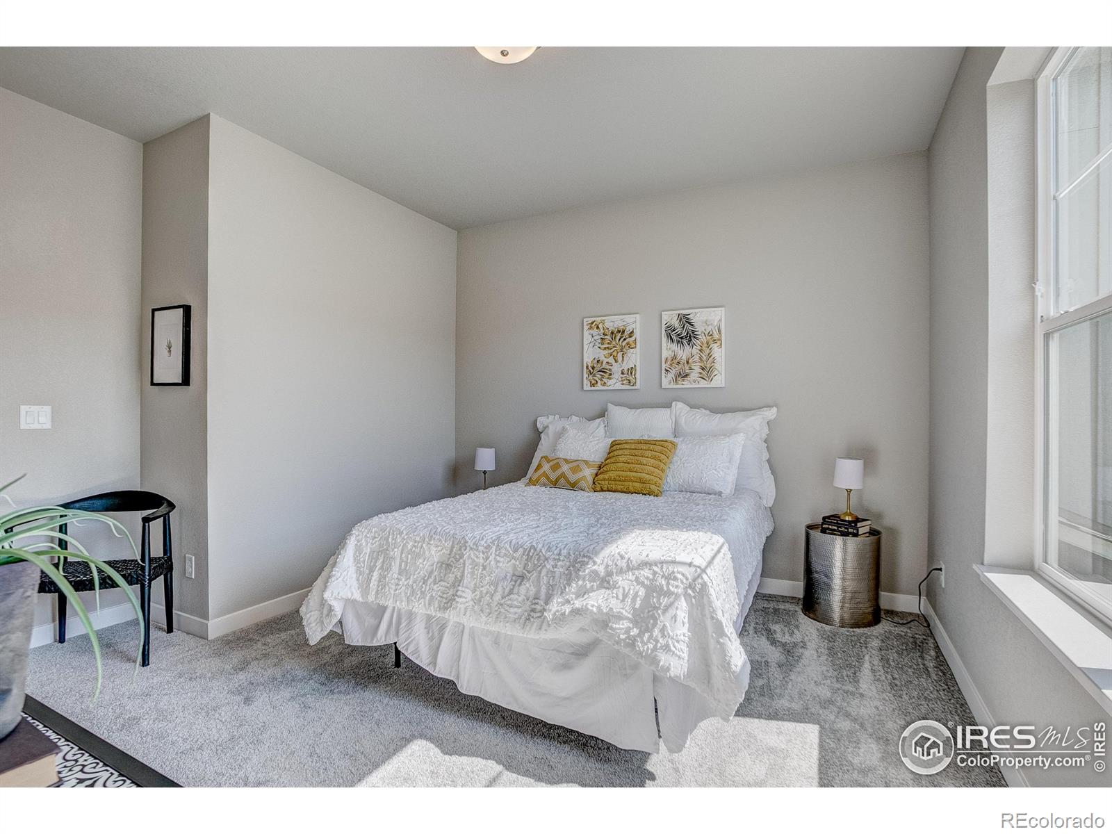 MLS Image #20 for 4109  north park drive,loveland, Colorado