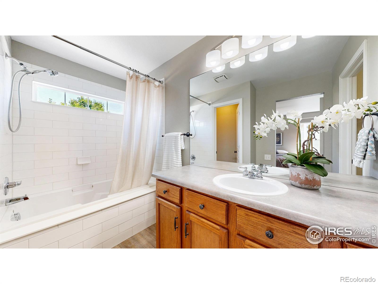 MLS Image #12 for 2620  autumn harvest way,fort collins, Colorado