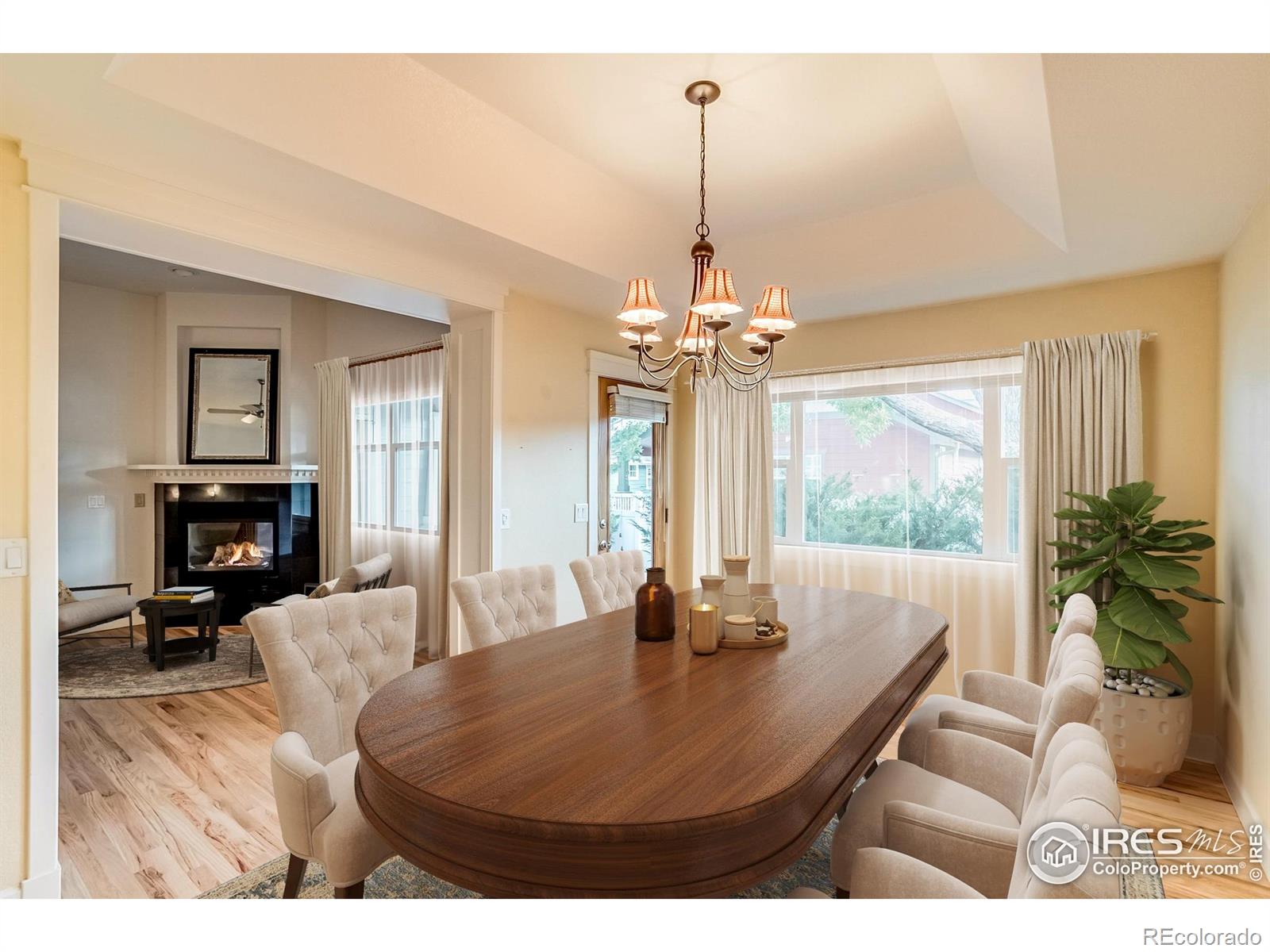MLS Image #5 for 447  olympia avenue,longmont, Colorado