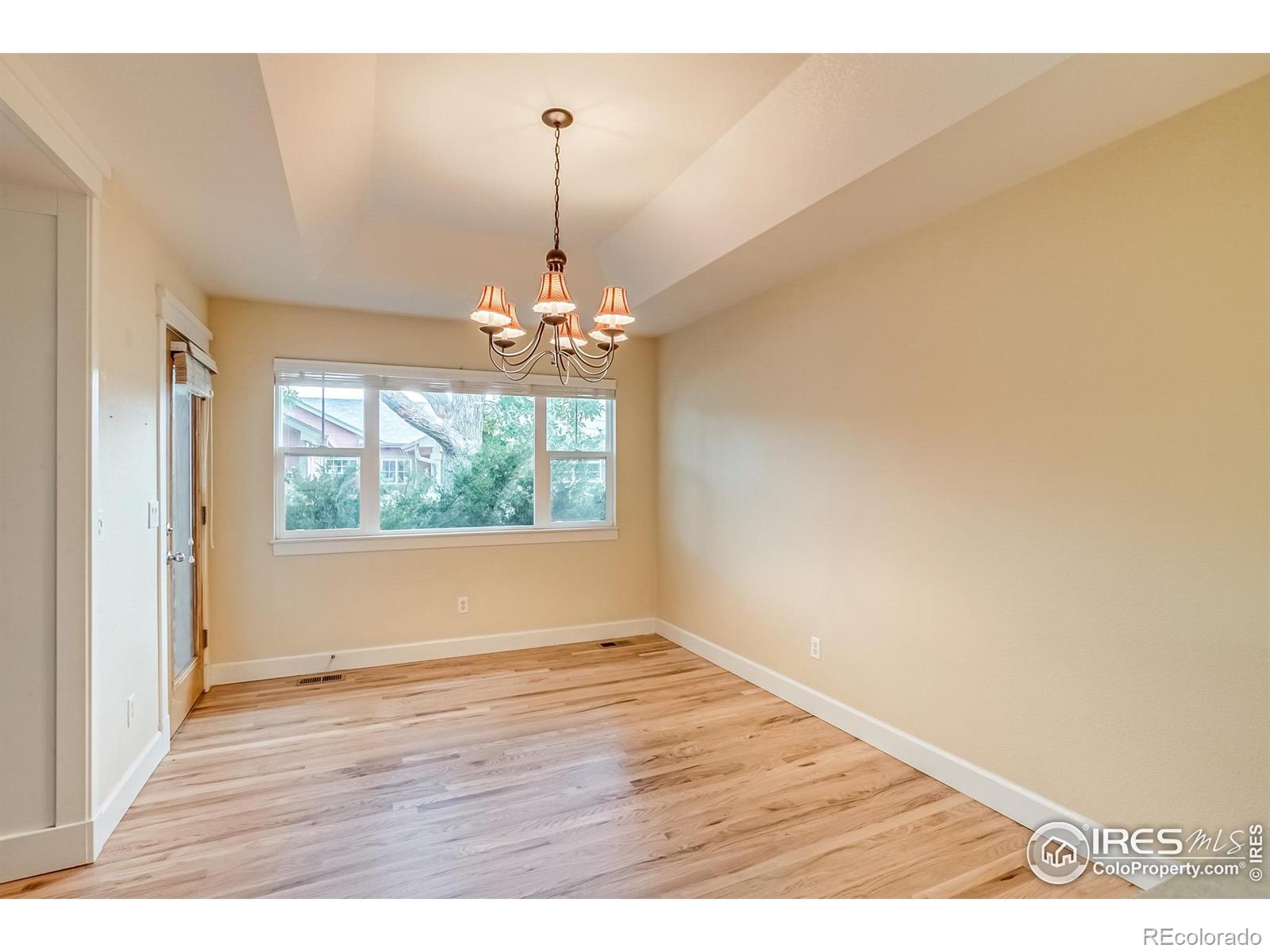 MLS Image #7 for 447  olympia avenue,longmont, Colorado