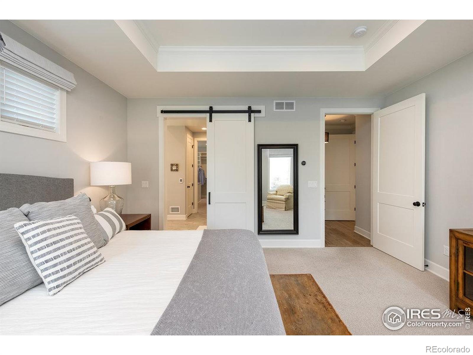 MLS Image #21 for 917  neon forest circle,longmont, Colorado