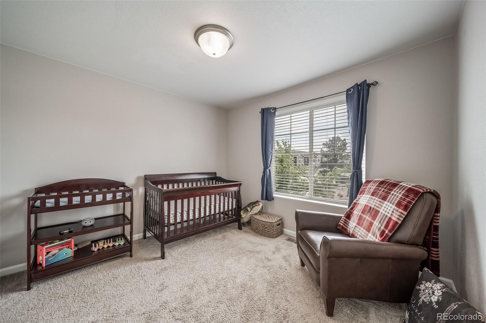 MLS Image #18 for 5951  still meadow place,castle rock, Colorado