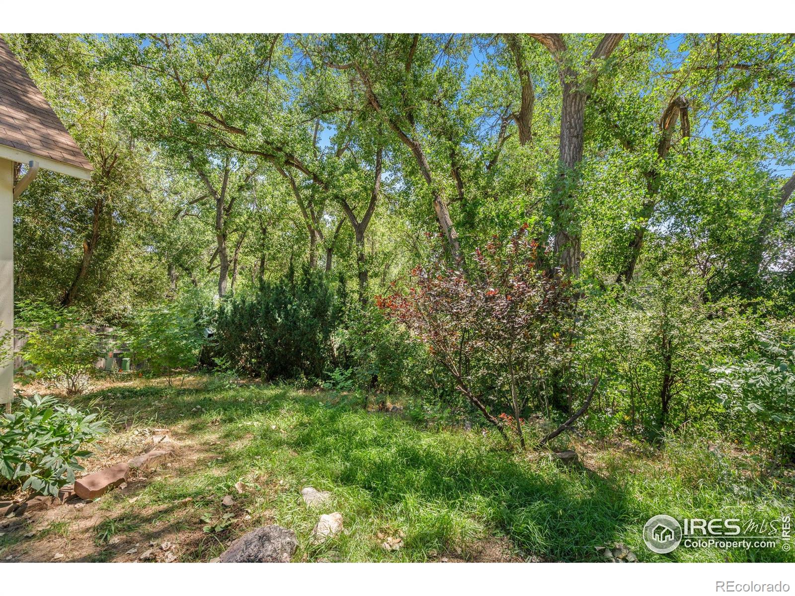 MLS Image #25 for 105  granada court,longmont, Colorado
