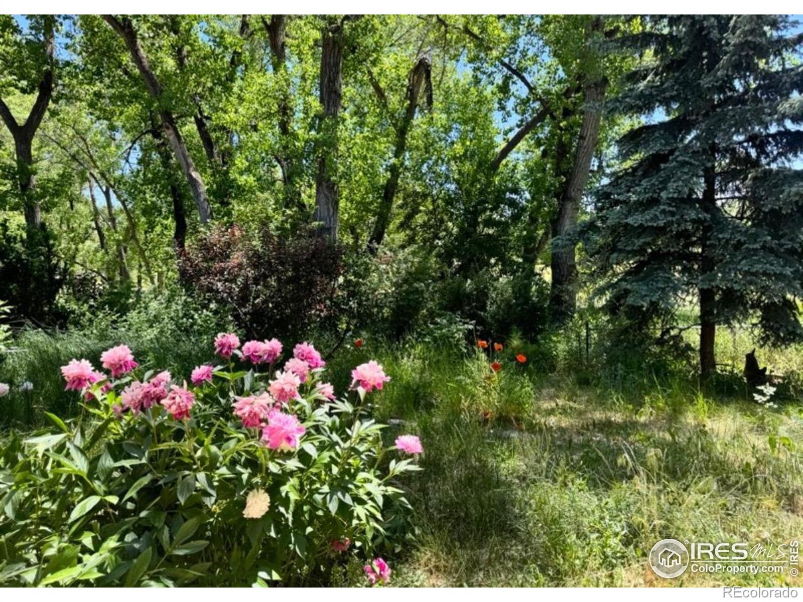 MLS Image #27 for 105  granada court,longmont, Colorado