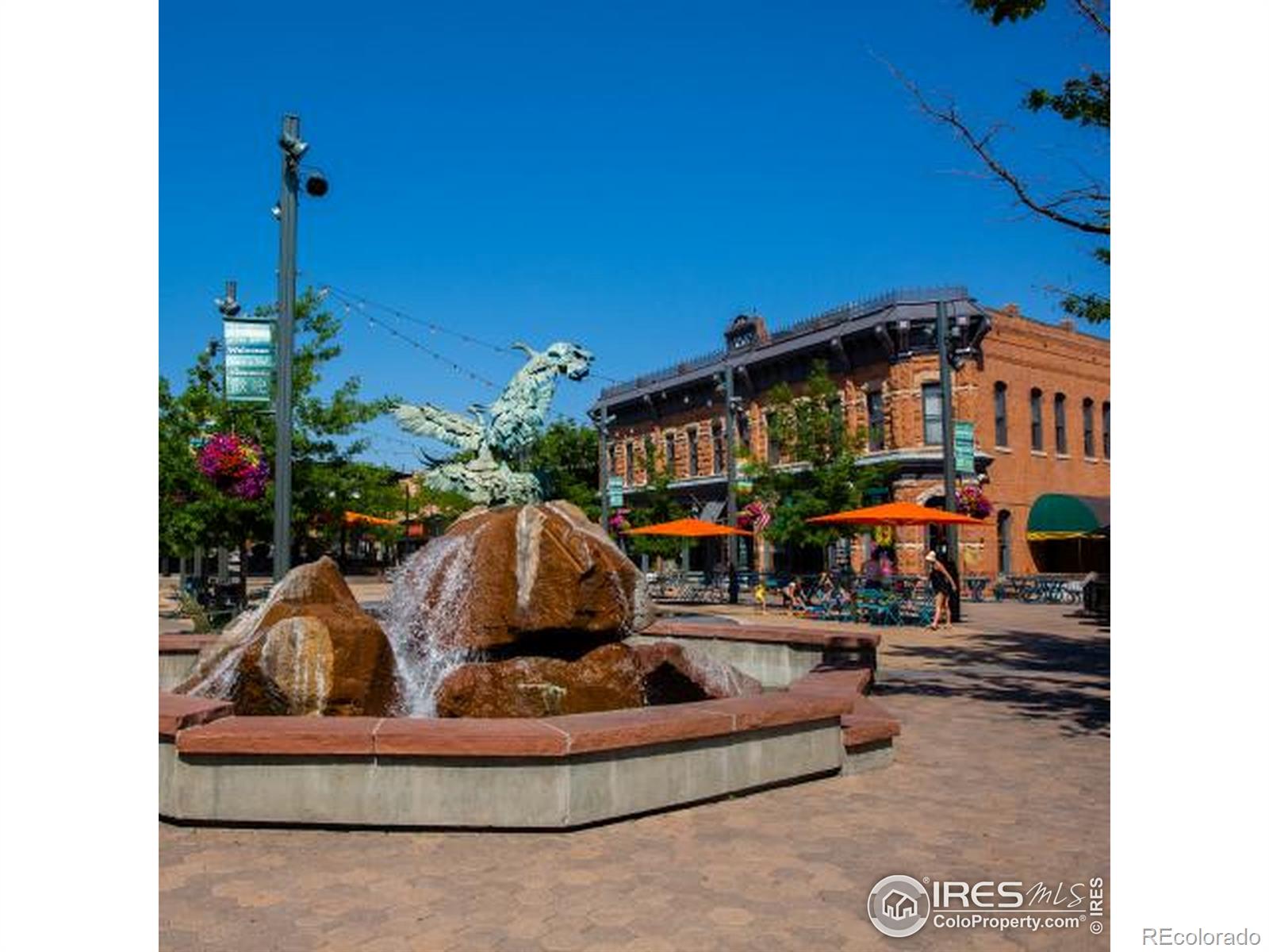 MLS Image #36 for 2932  biplane street,fort collins, Colorado