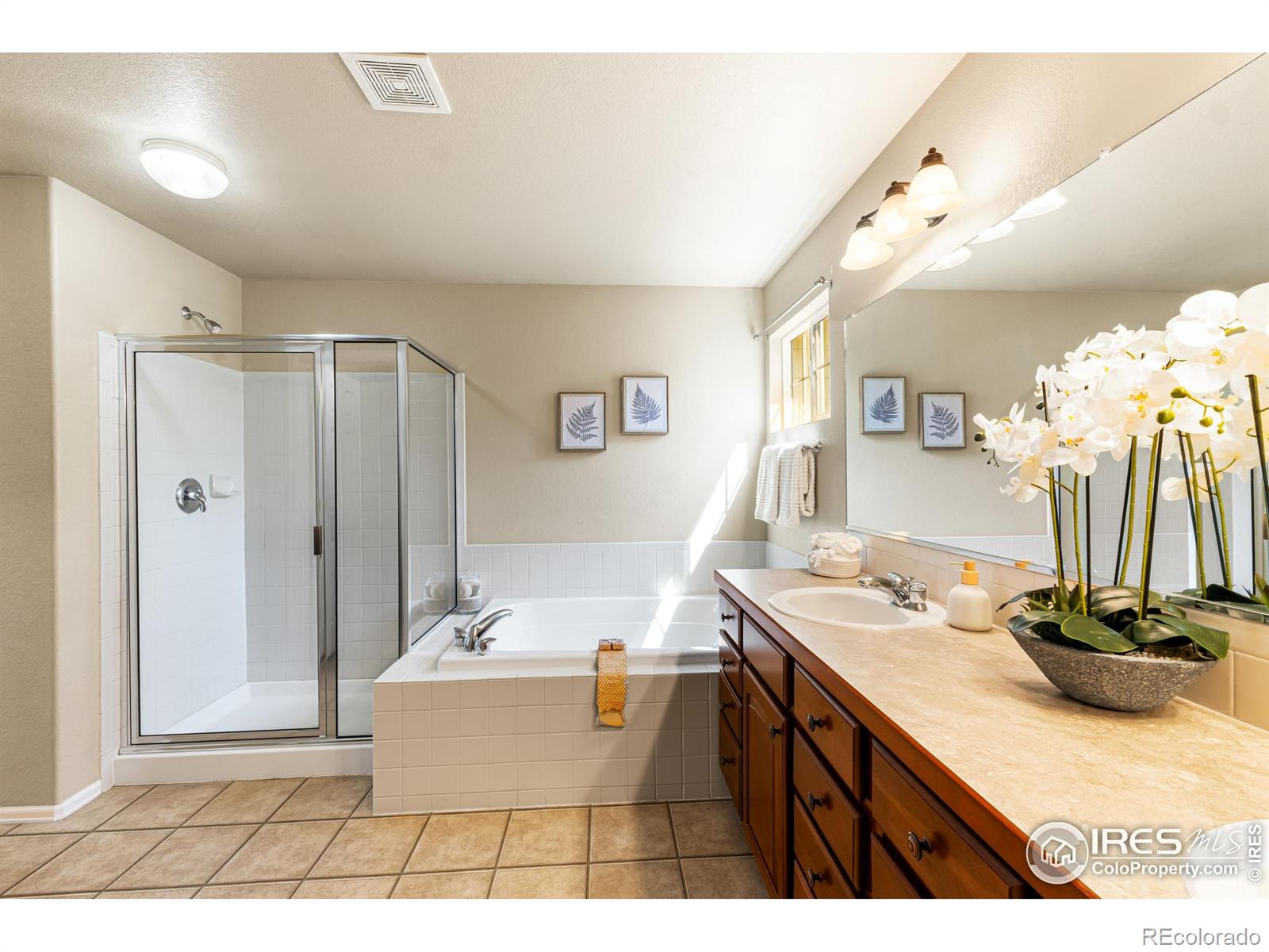 MLS Image #21 for 7433  matheson drive,fort collins, Colorado