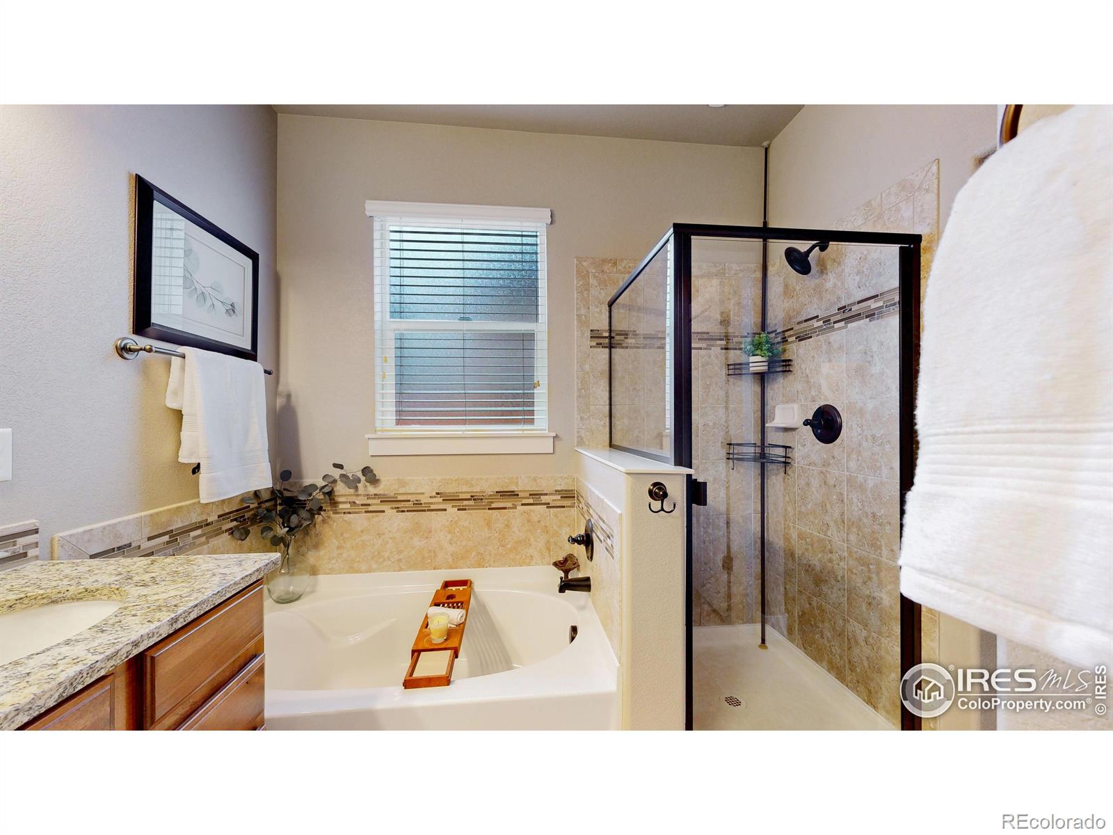 MLS Image #9 for 2214  maid marian court,fort collins, Colorado