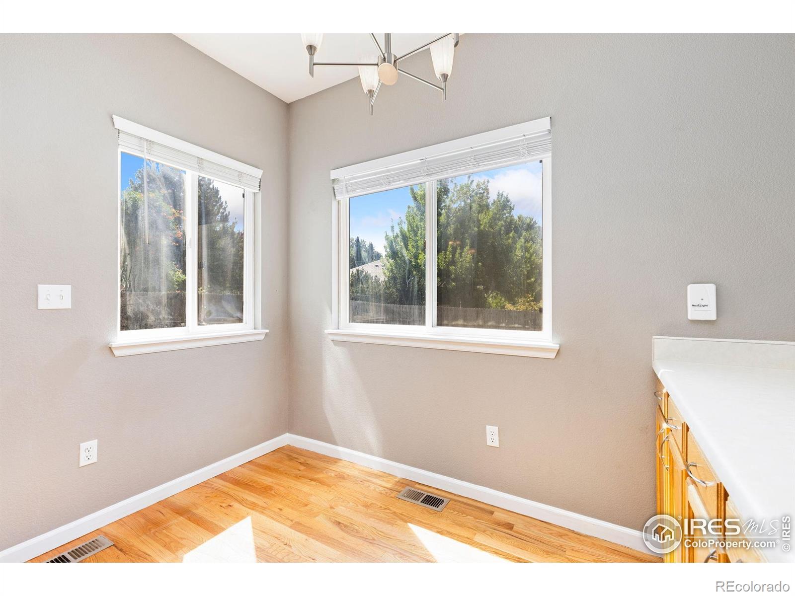 MLS Image #11 for 713  pendleton avenue,longmont, Colorado