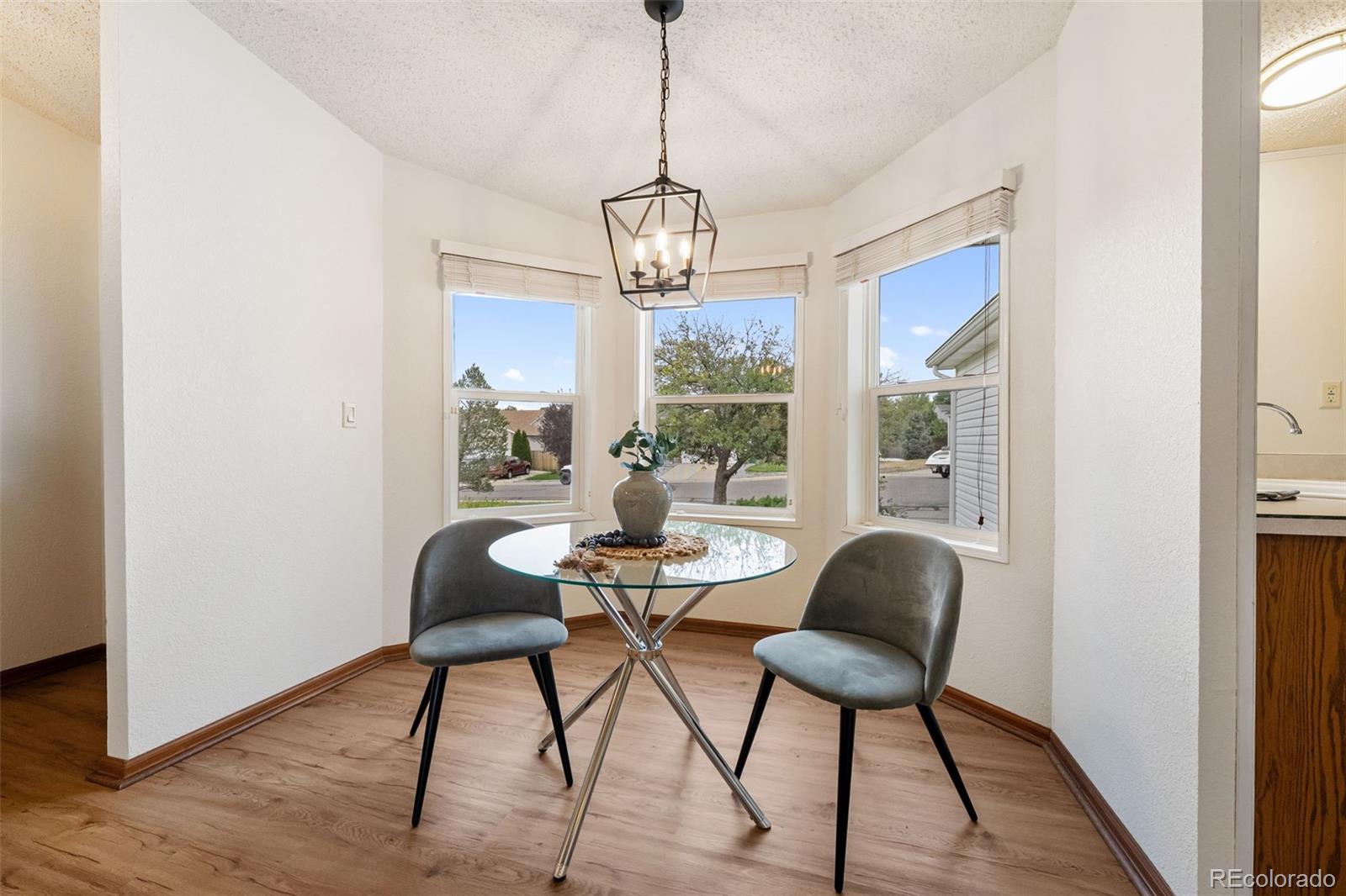 MLS Image #11 for 5879 s riviera court,centennial, Colorado