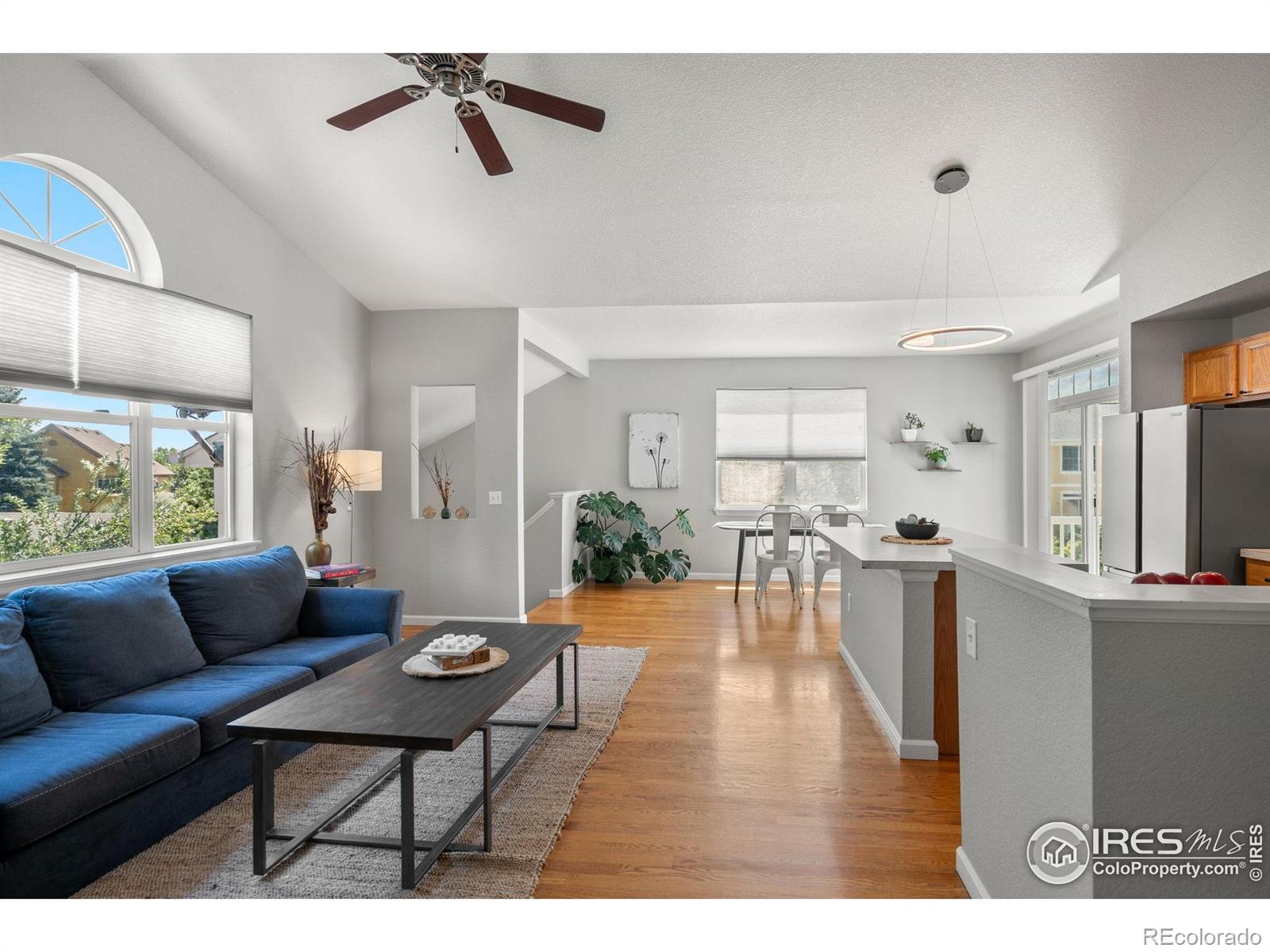 MLS Image #10 for 4501  nelson road,longmont, Colorado