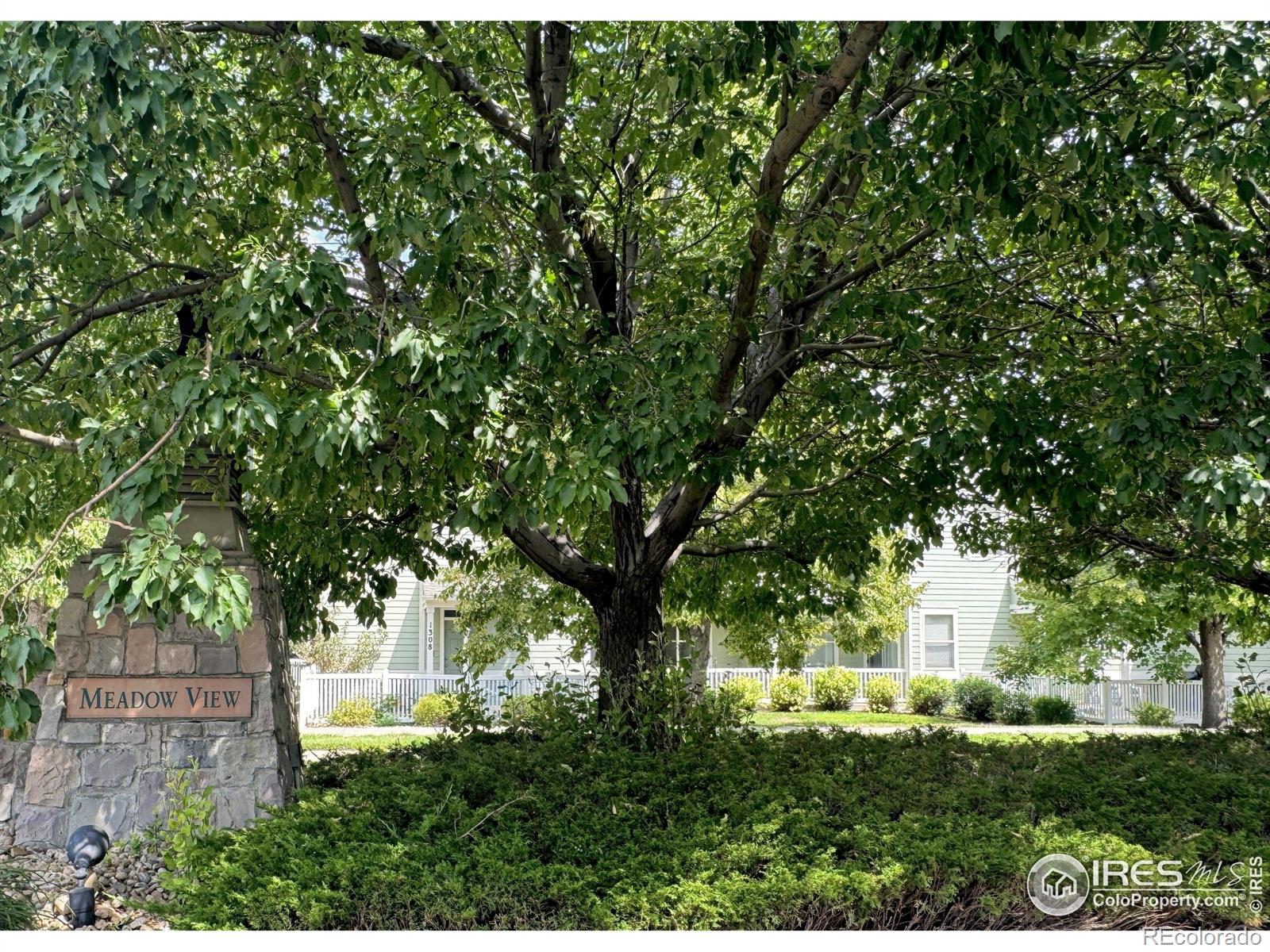 MLS Image #29 for 4501  nelson road,longmont, Colorado