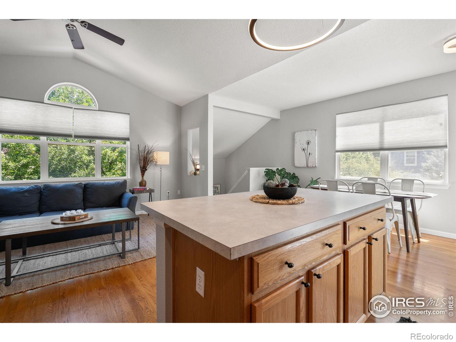 MLS Image #8 for 4501  nelson road,longmont, Colorado