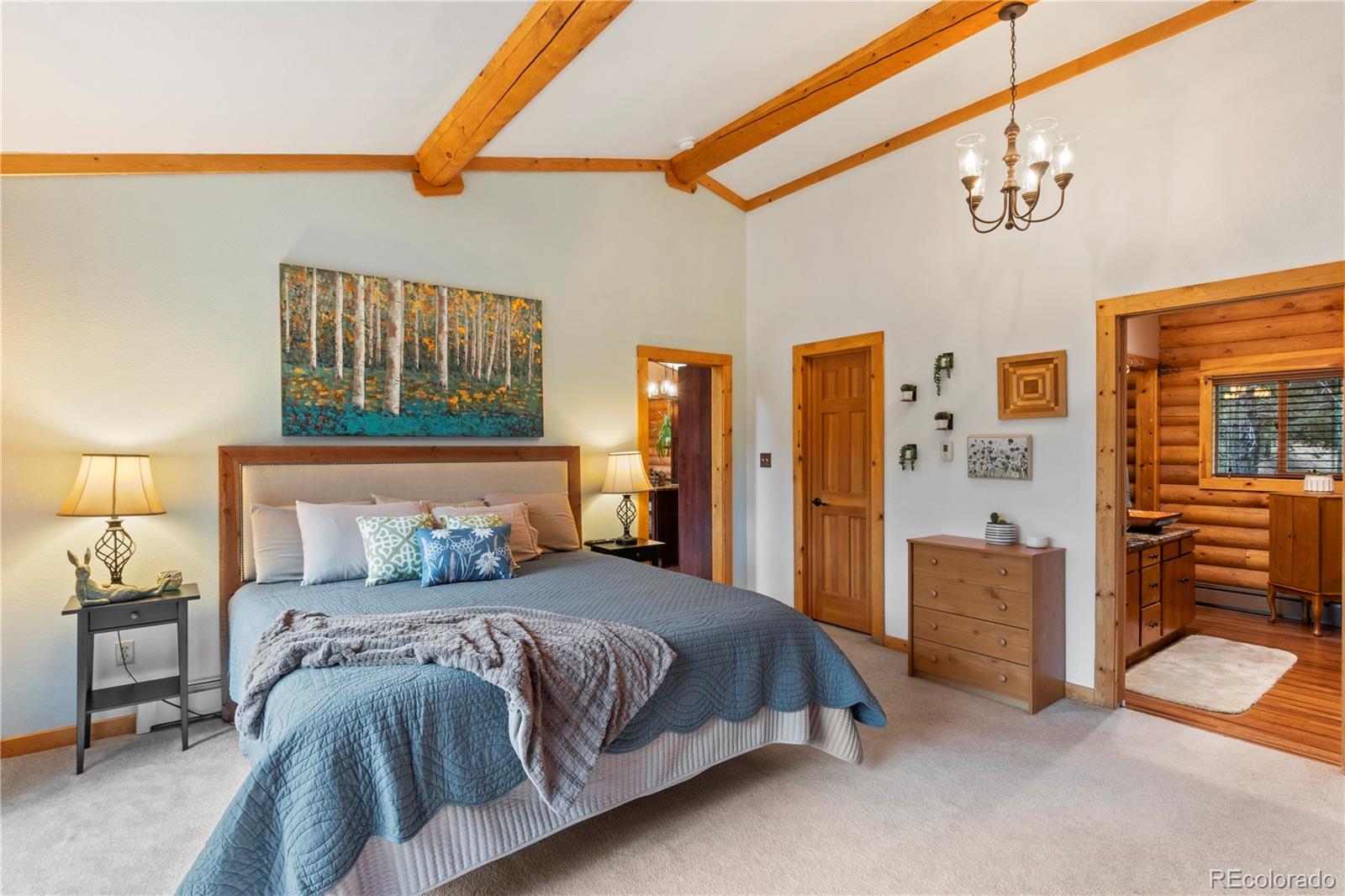 MLS Image #19 for 24  summit road,woodland park, Colorado