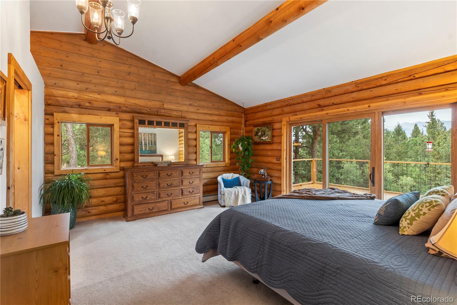 MLS Image #20 for 24  summit road,woodland park, Colorado
