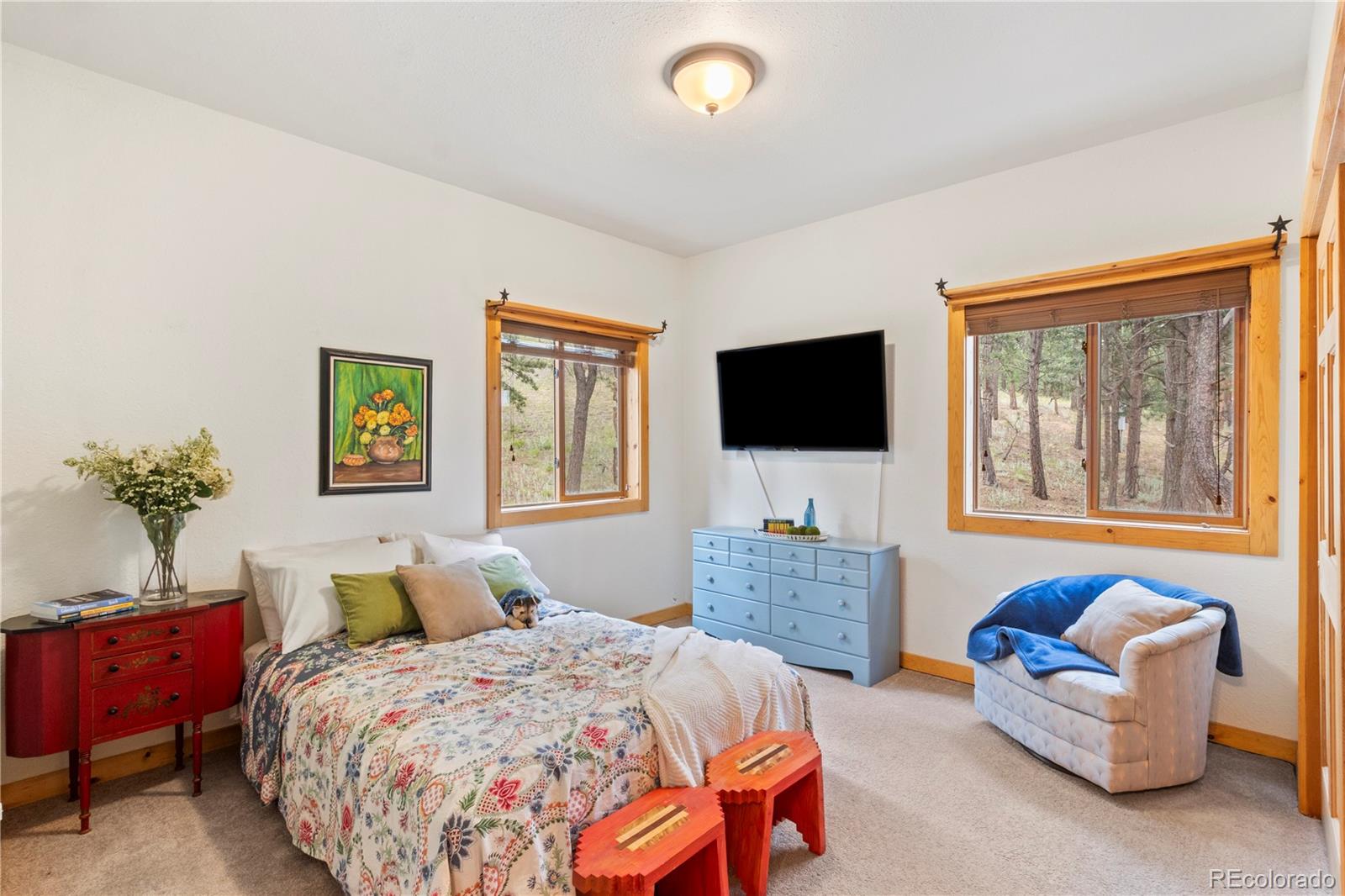 MLS Image #25 for 24  summit road,woodland park, Colorado