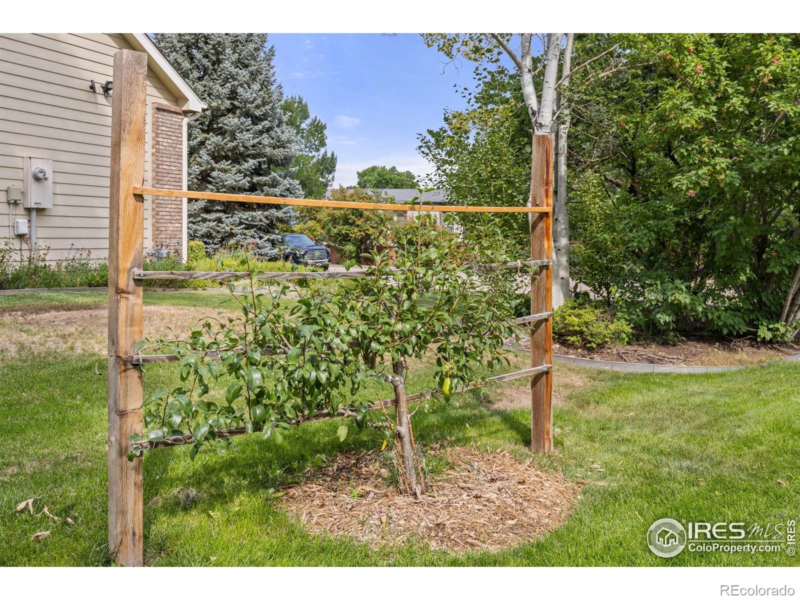 MLS Image #27 for 1682  stove prairie circle,loveland, Colorado