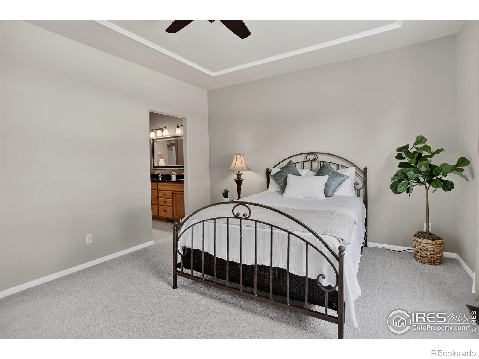 MLS Image #19 for 446  rossum drive,loveland, Colorado