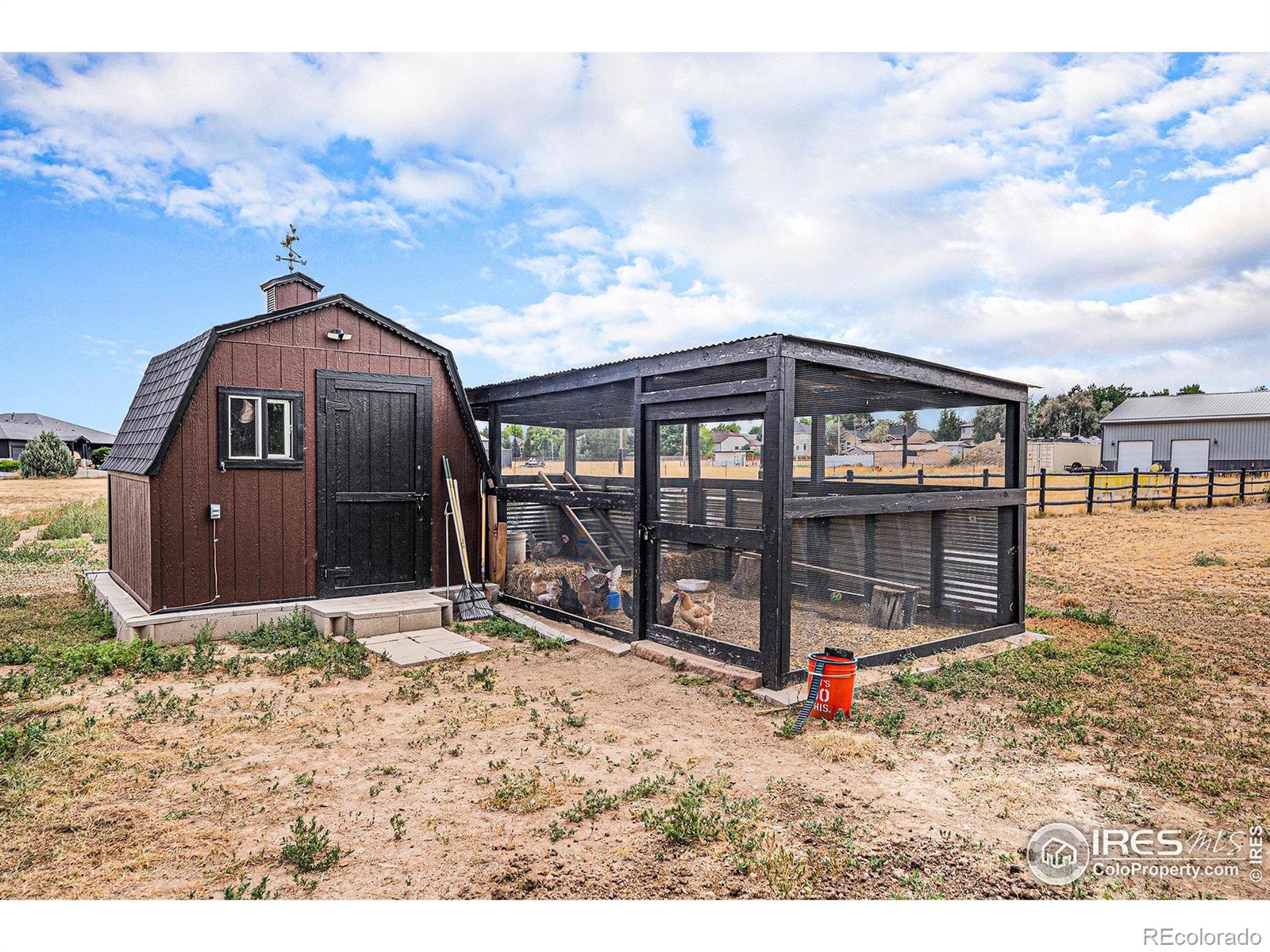 MLS Image #4 for 818  county road 10 1/2 ,erie, Colorado
