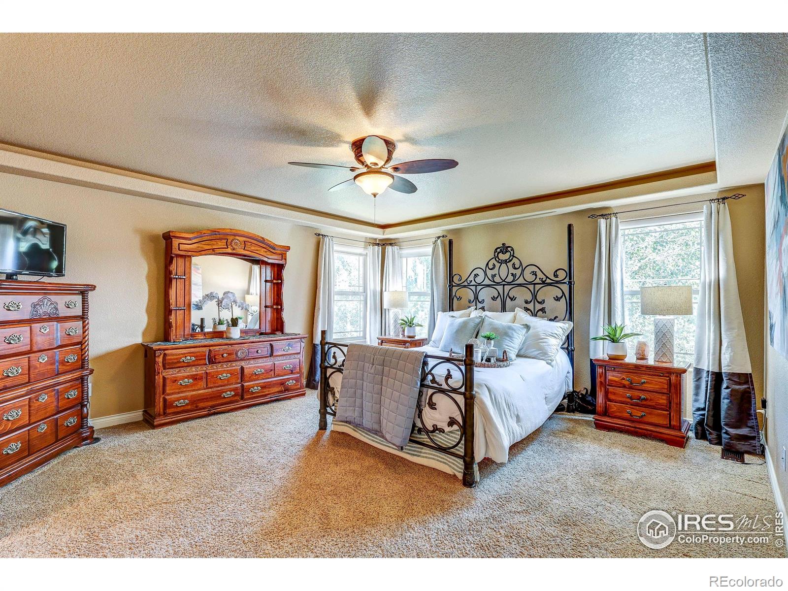 MLS Image #18 for 190  kitty hawk court,windsor, Colorado