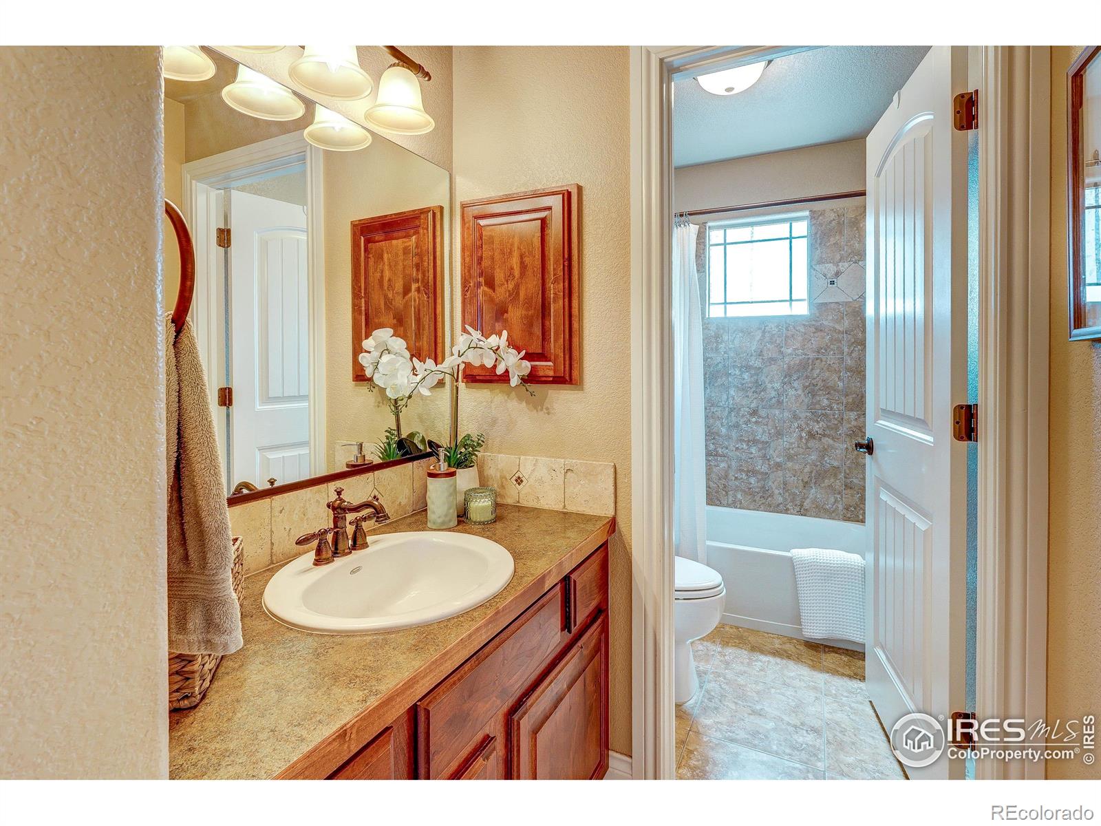 MLS Image #24 for 190  kitty hawk court,windsor, Colorado