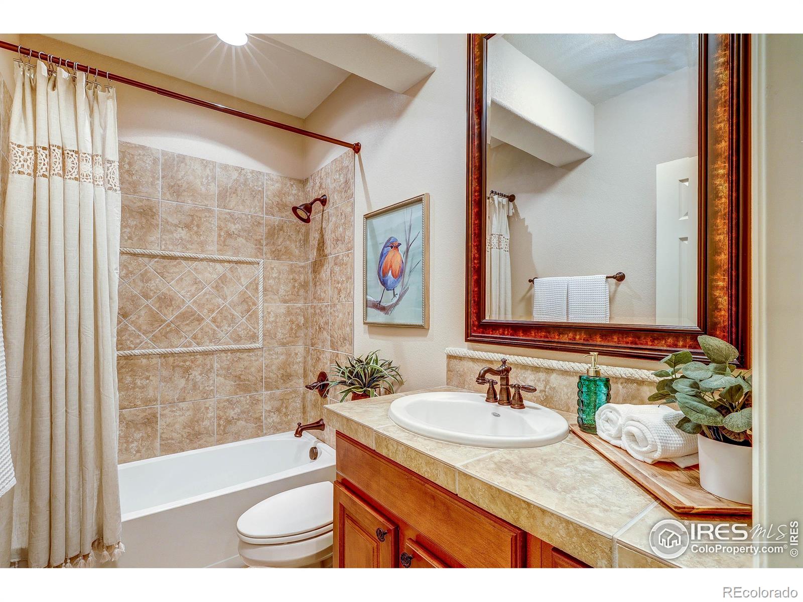 MLS Image #30 for 190  kitty hawk court,windsor, Colorado
