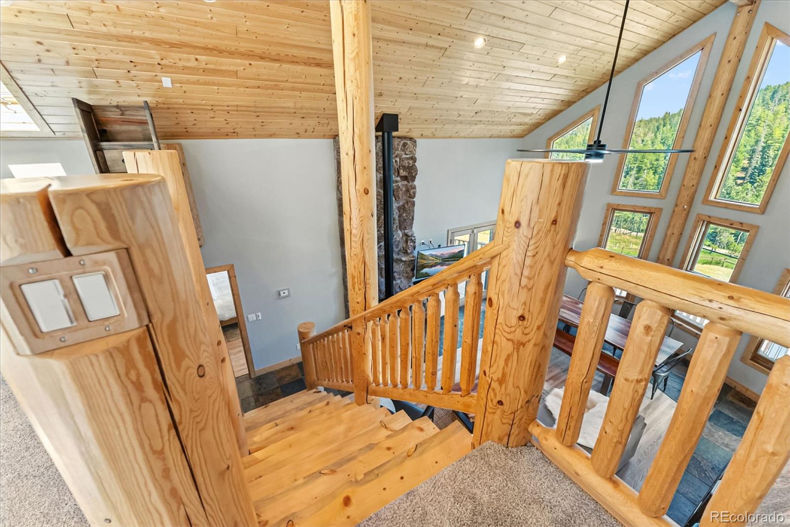 MLS Image #13 for 32625  saint moritz drive,evergreen, Colorado