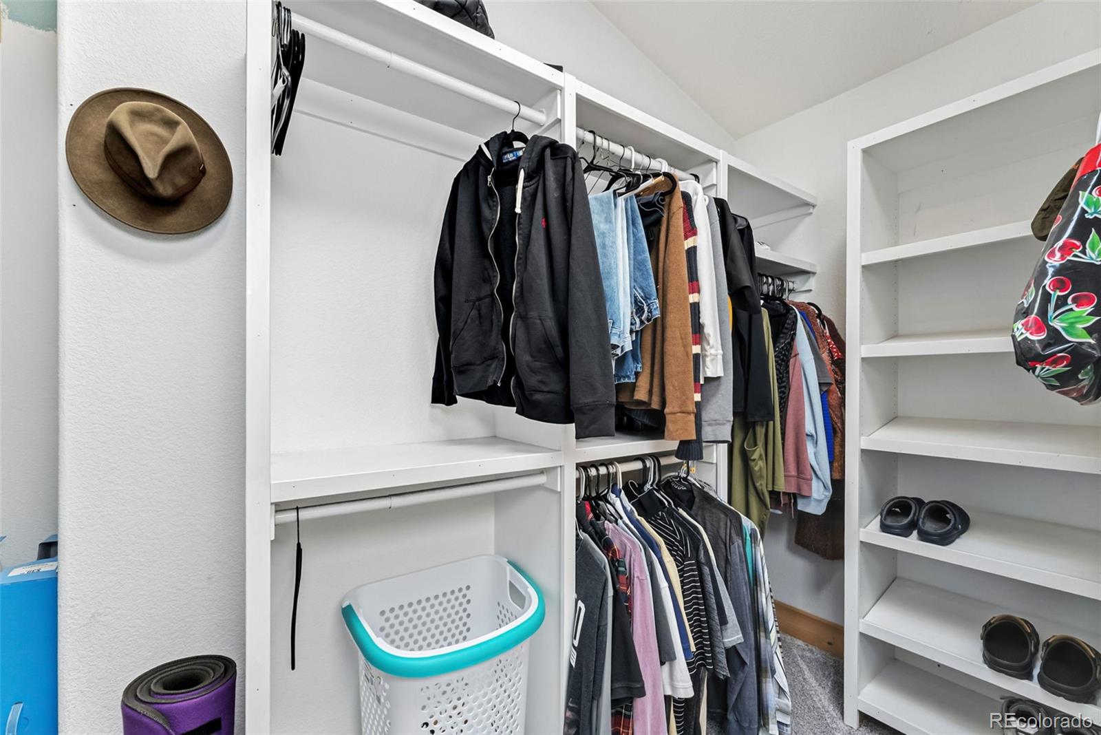 MLS Image #23 for 32625  saint moritz drive,evergreen, Colorado