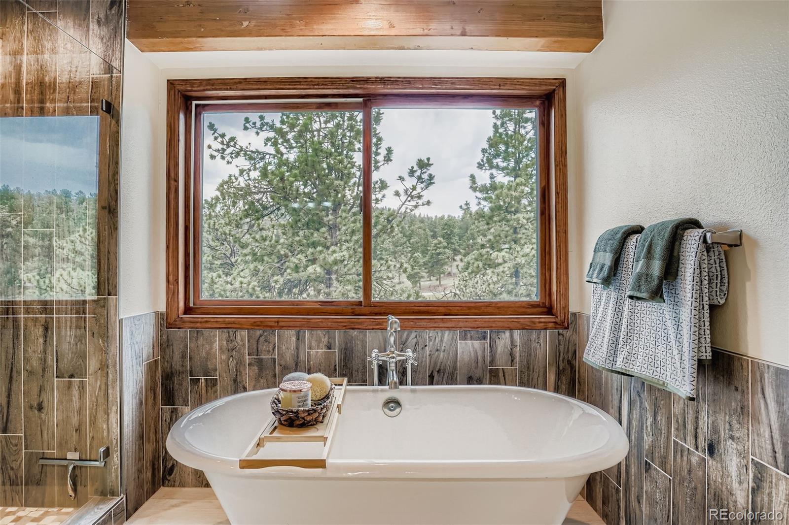 MLS Image #16 for 13342  douglass ranch drive,pine, Colorado