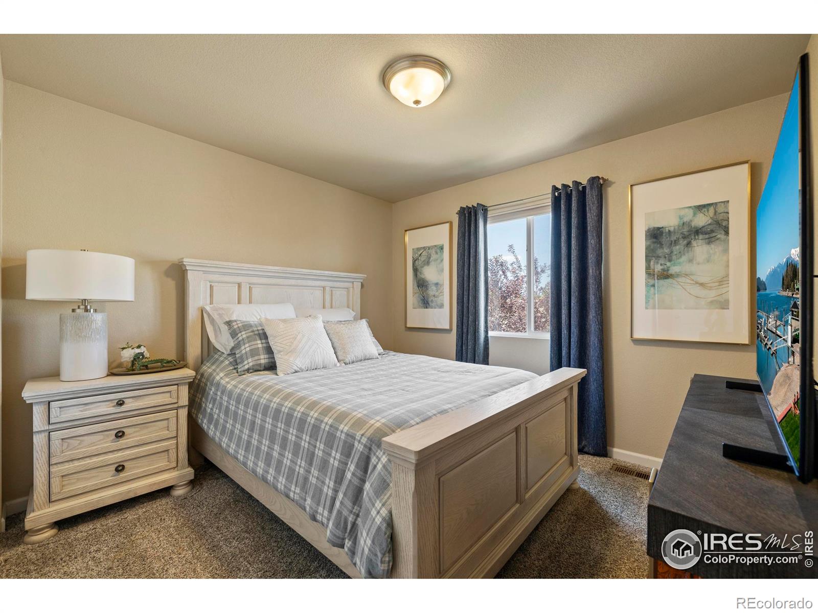 MLS Image #17 for 947  delphinus place,loveland, Colorado