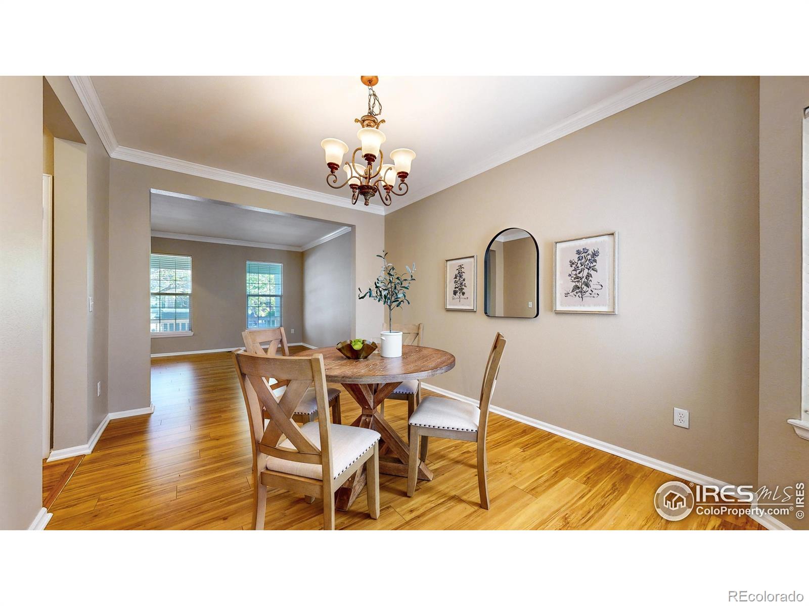 MLS Image #11 for 3221  mesa verde street,fort collins, Colorado