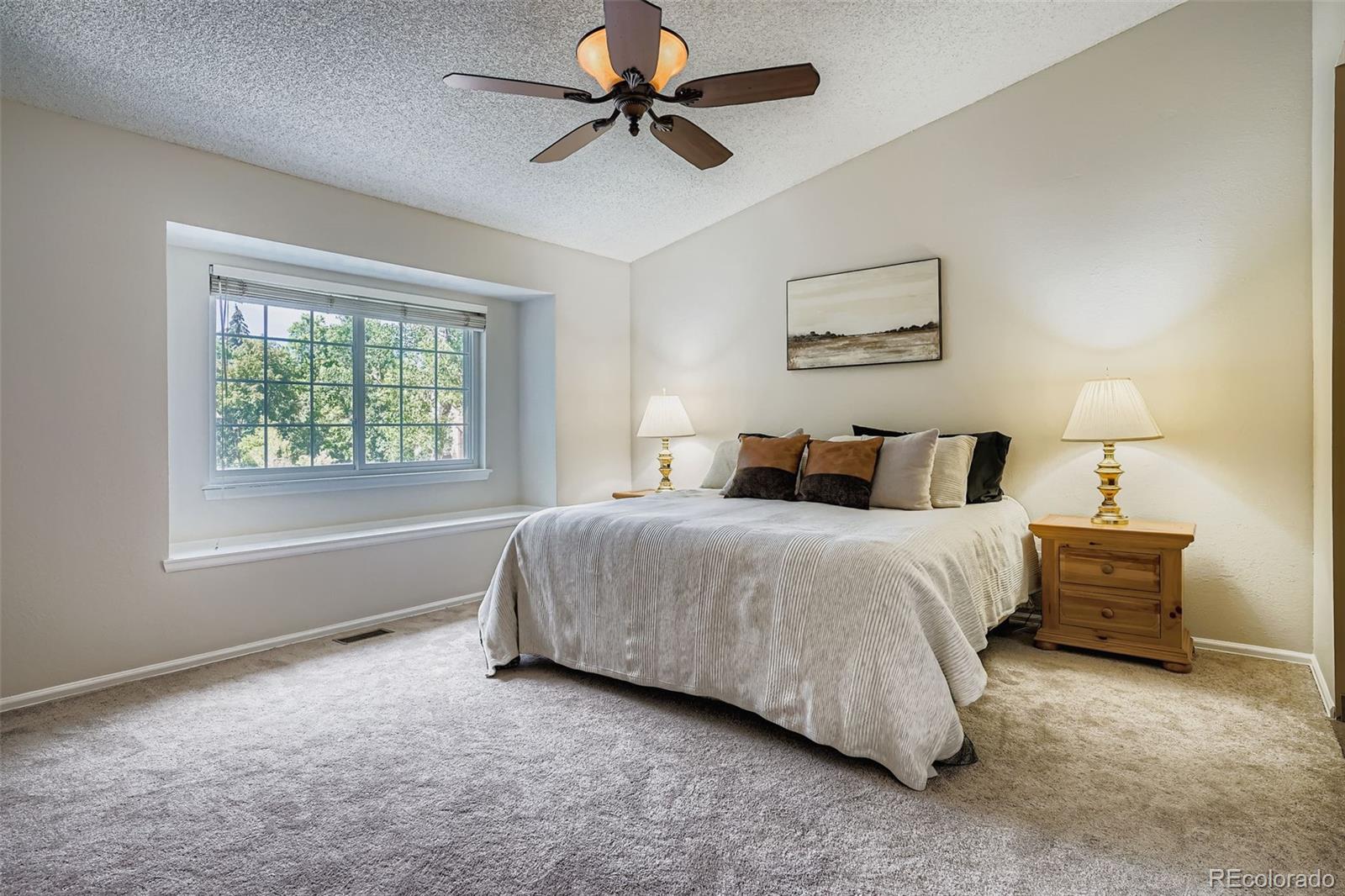 MLS Image #19 for 202  northridge road,highlands ranch, Colorado