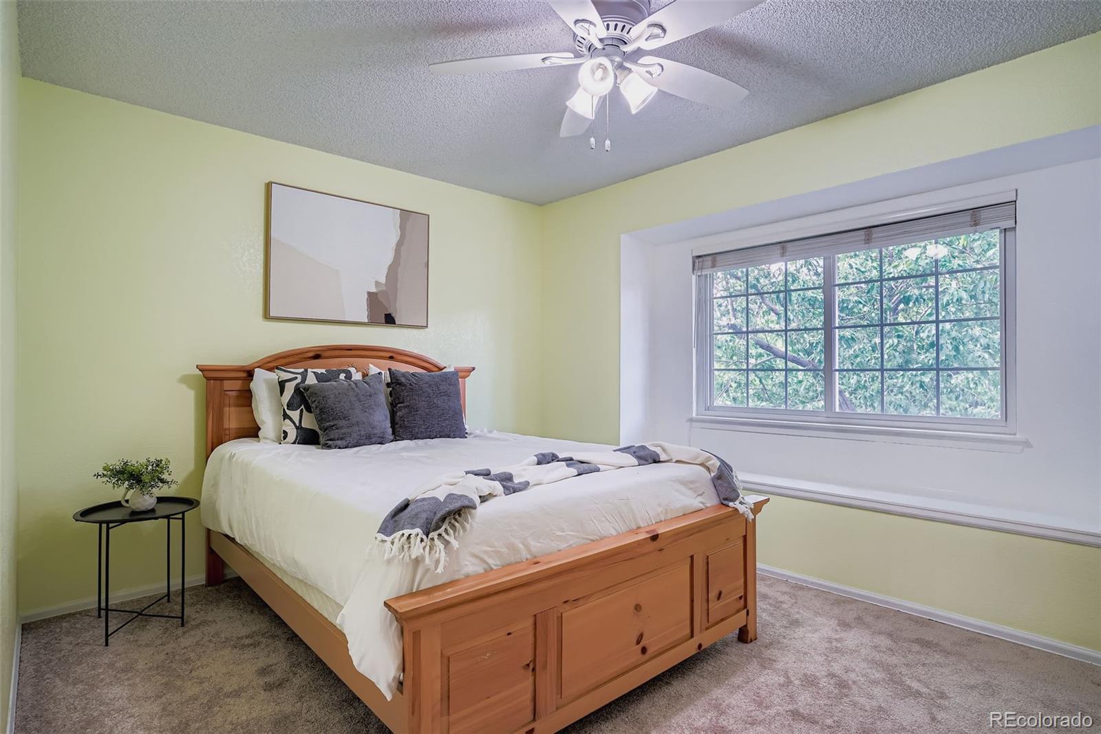 MLS Image #25 for 202  northridge road,highlands ranch, Colorado